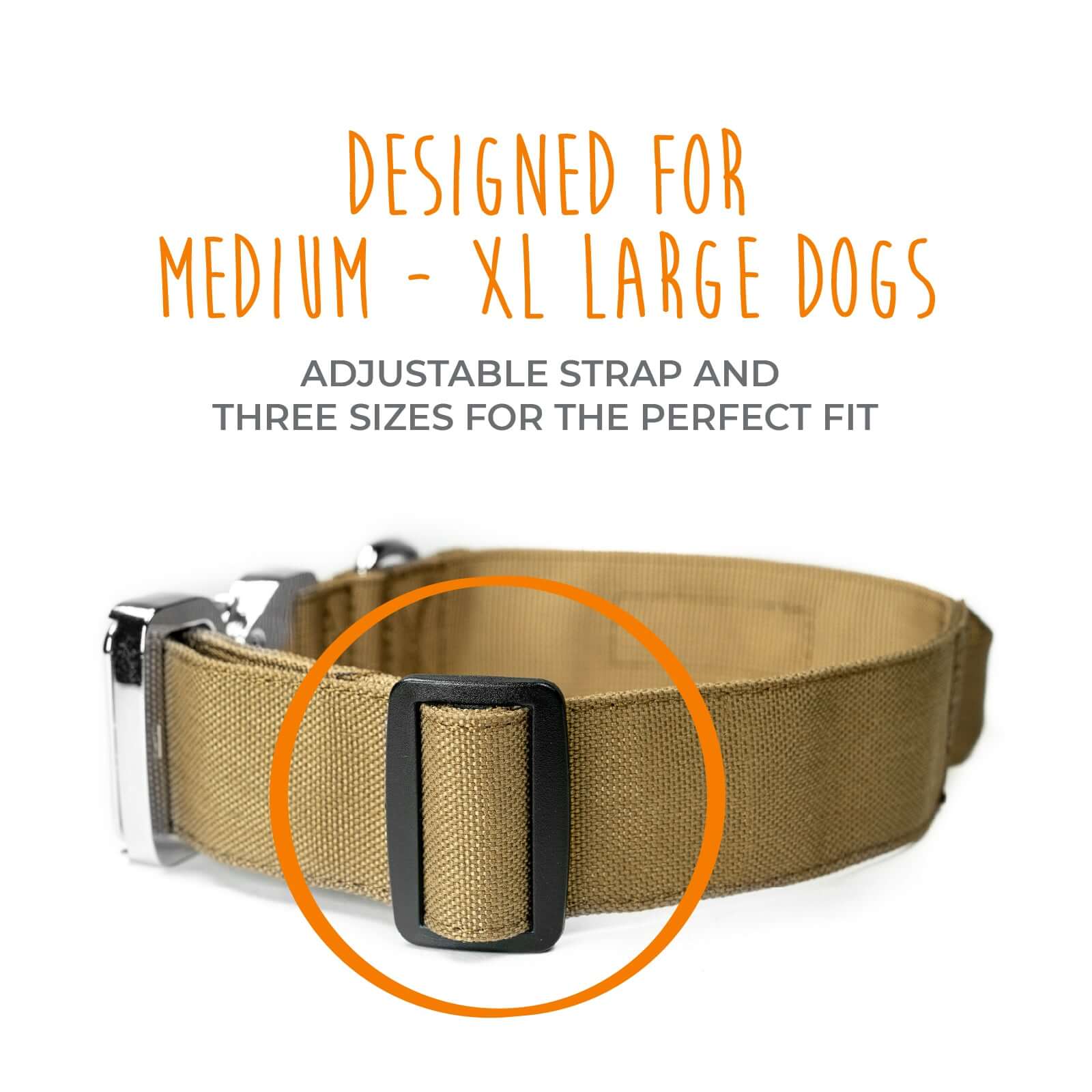 LaoPaw Durable Tactical Dog Collar with Metal Buckle and Handle Design –  LAOPAW