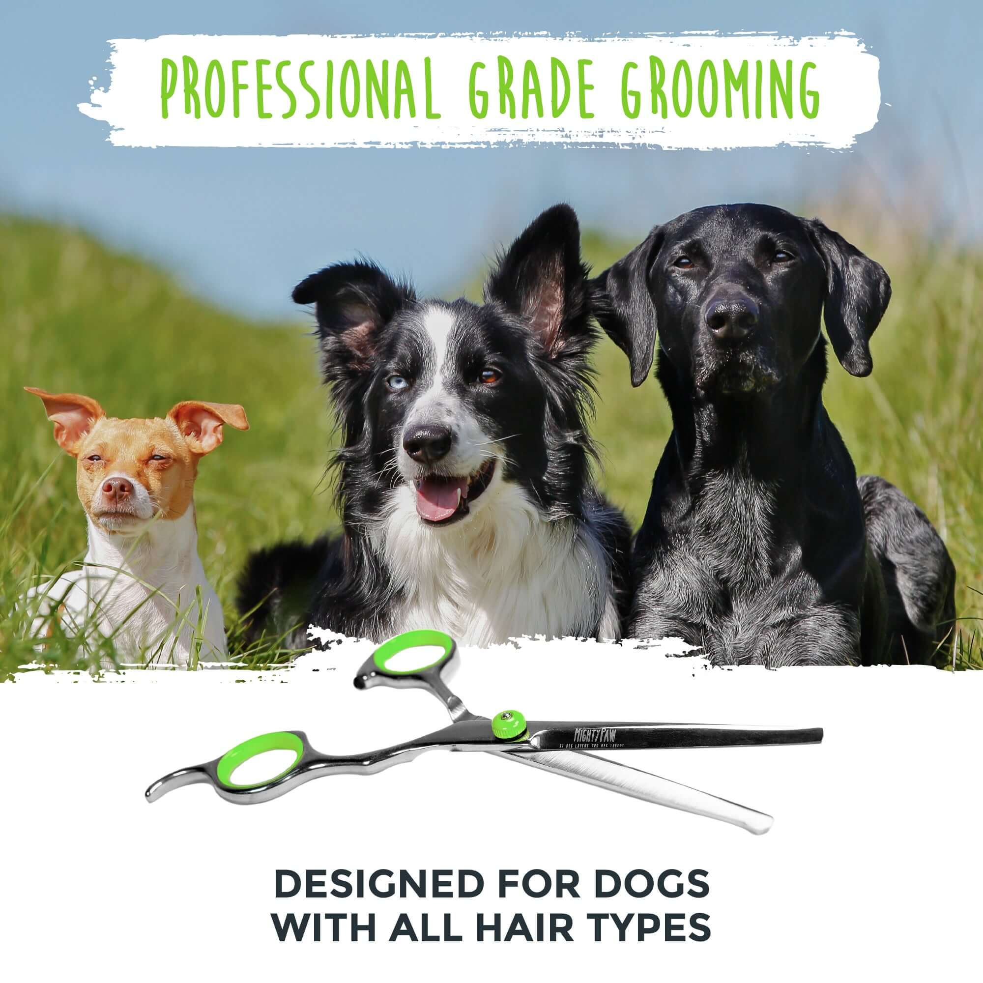 Professional Dog Grooming Shears (2 Pack)