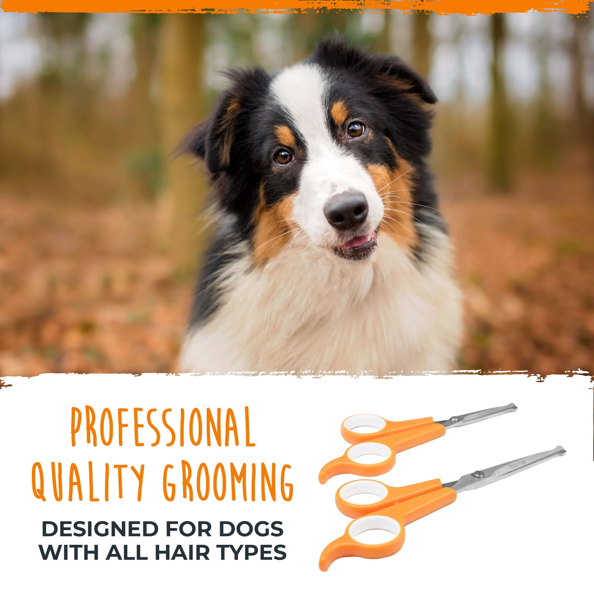 Dog Grooming Scissors (2 Pack)