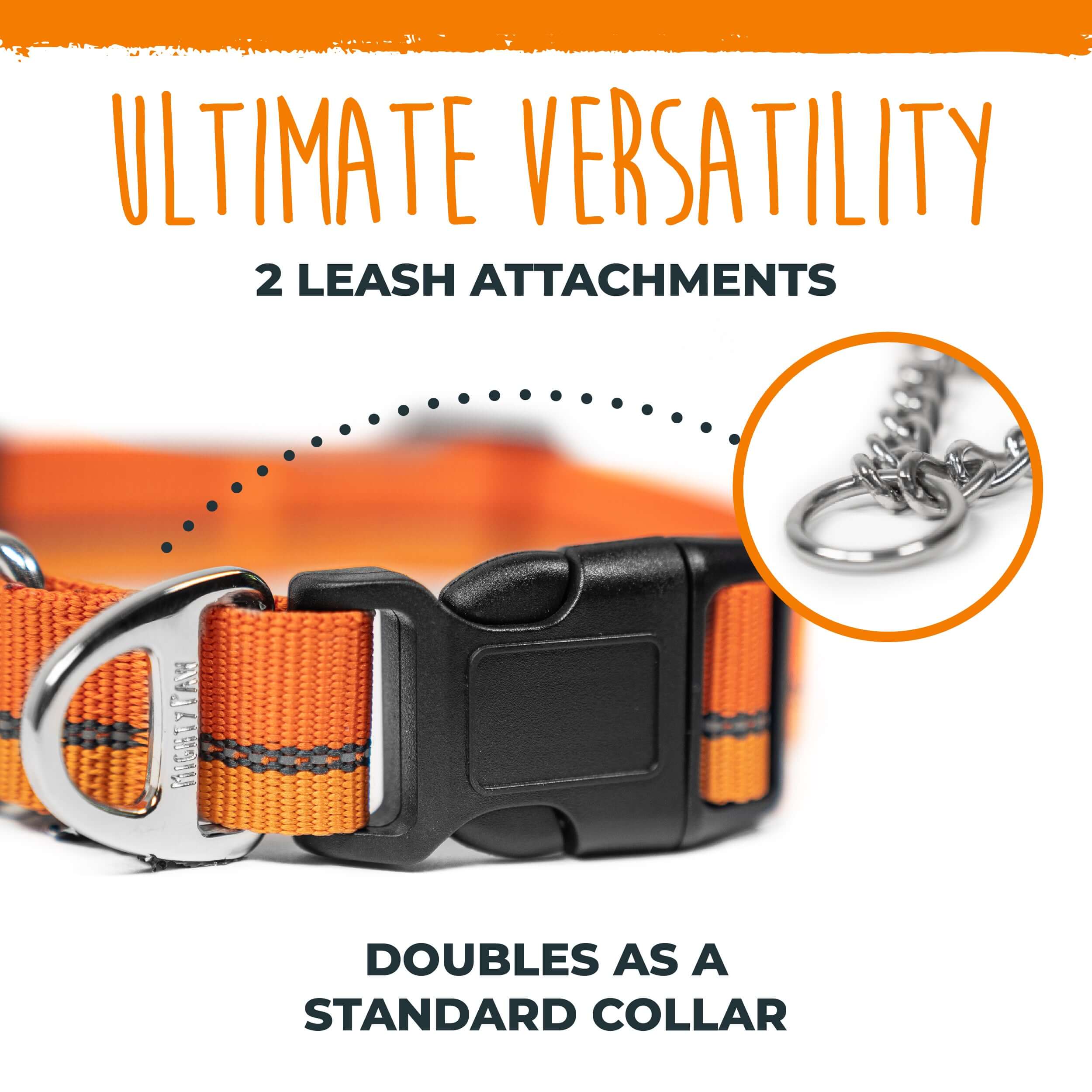 Martingale Dog Collar 2.0