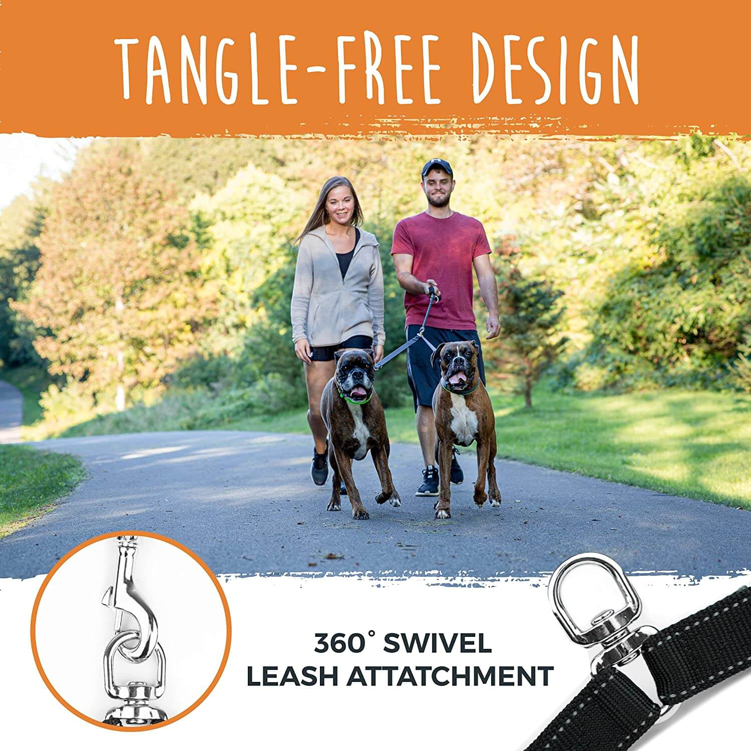 Best dog leash for big outlet dogs