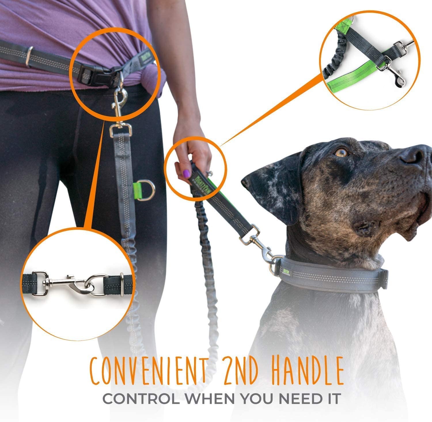 Mighty Paw Hands Free Dog Leash Premium Running Lightweight Reflective Bungee 36