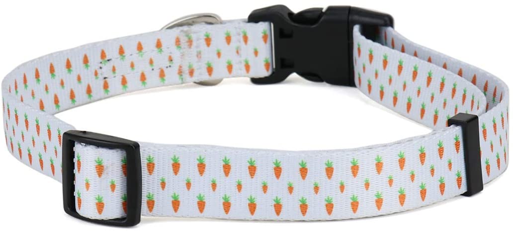 Easter Dog Collar