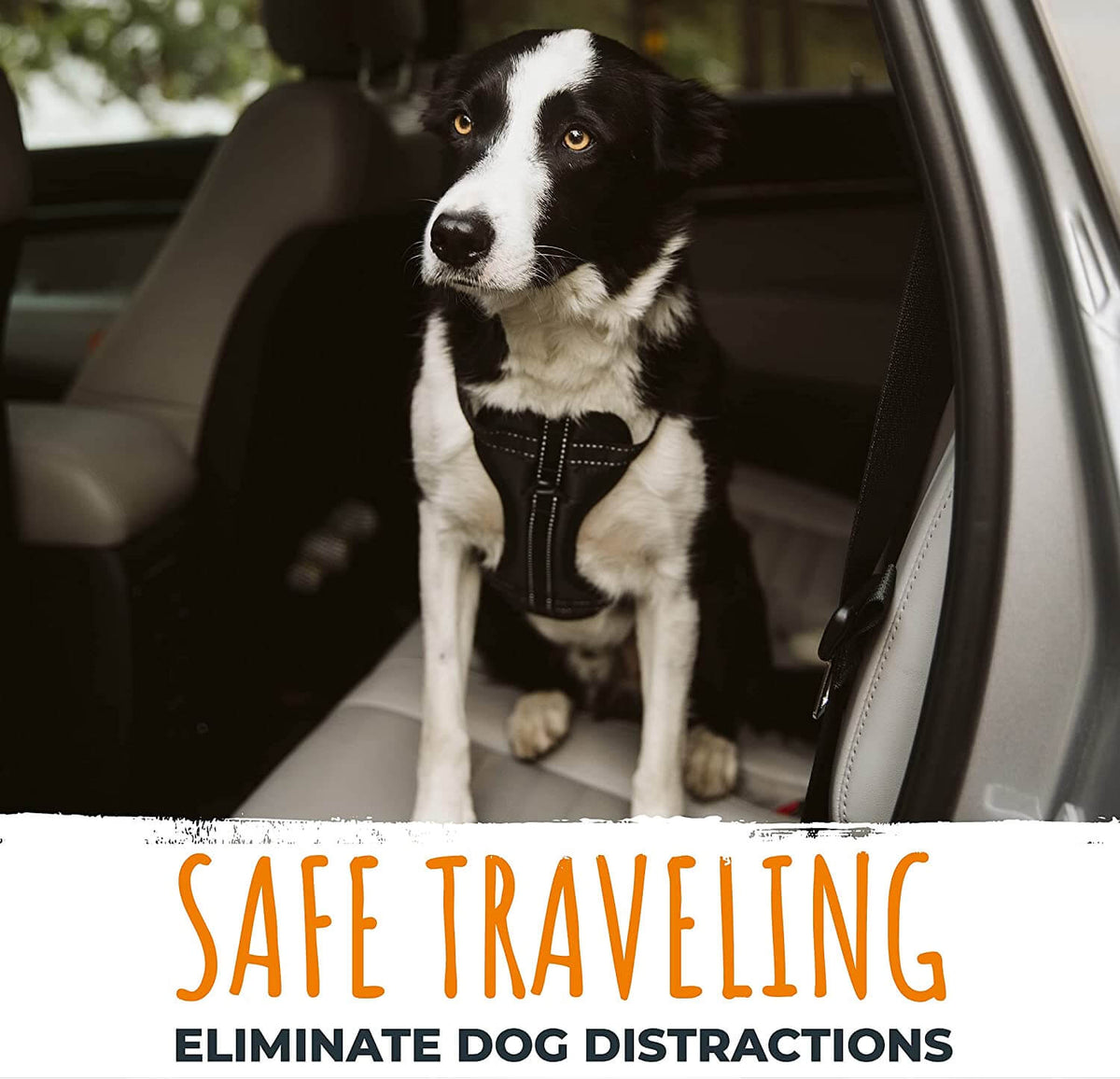 Dog Car Safety Belt - Secure, Tangle-Free Travel with Latch Hook