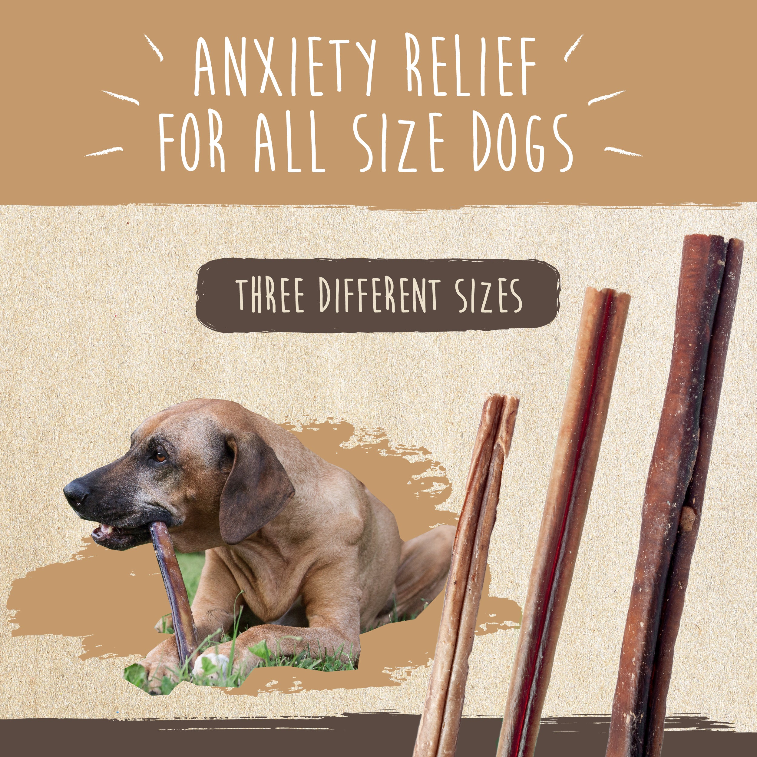 Natural Grass-Fed Bulk Bully Sticks for Dogs' Oral Health