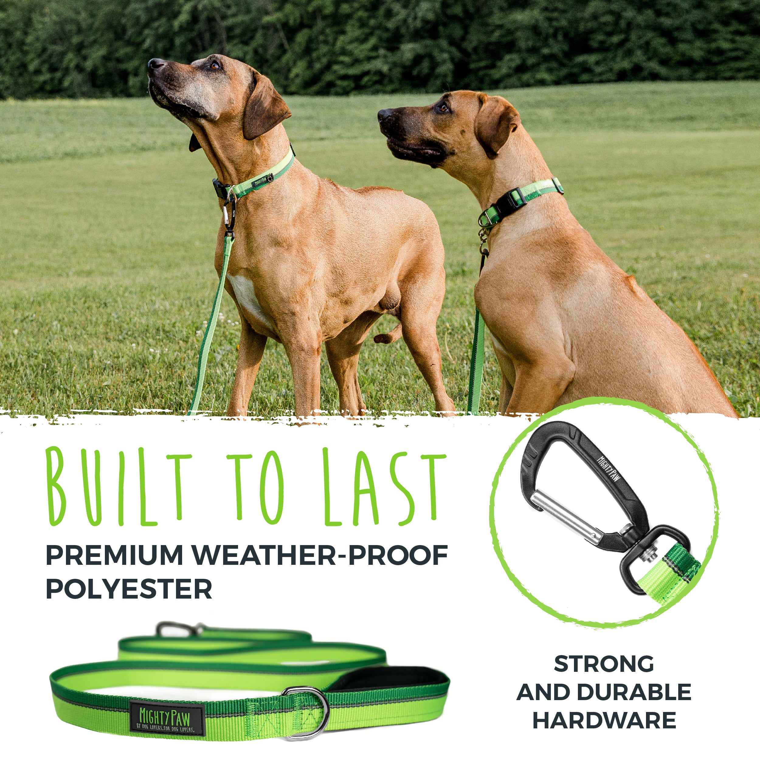 Mighty paw dog leash best sale