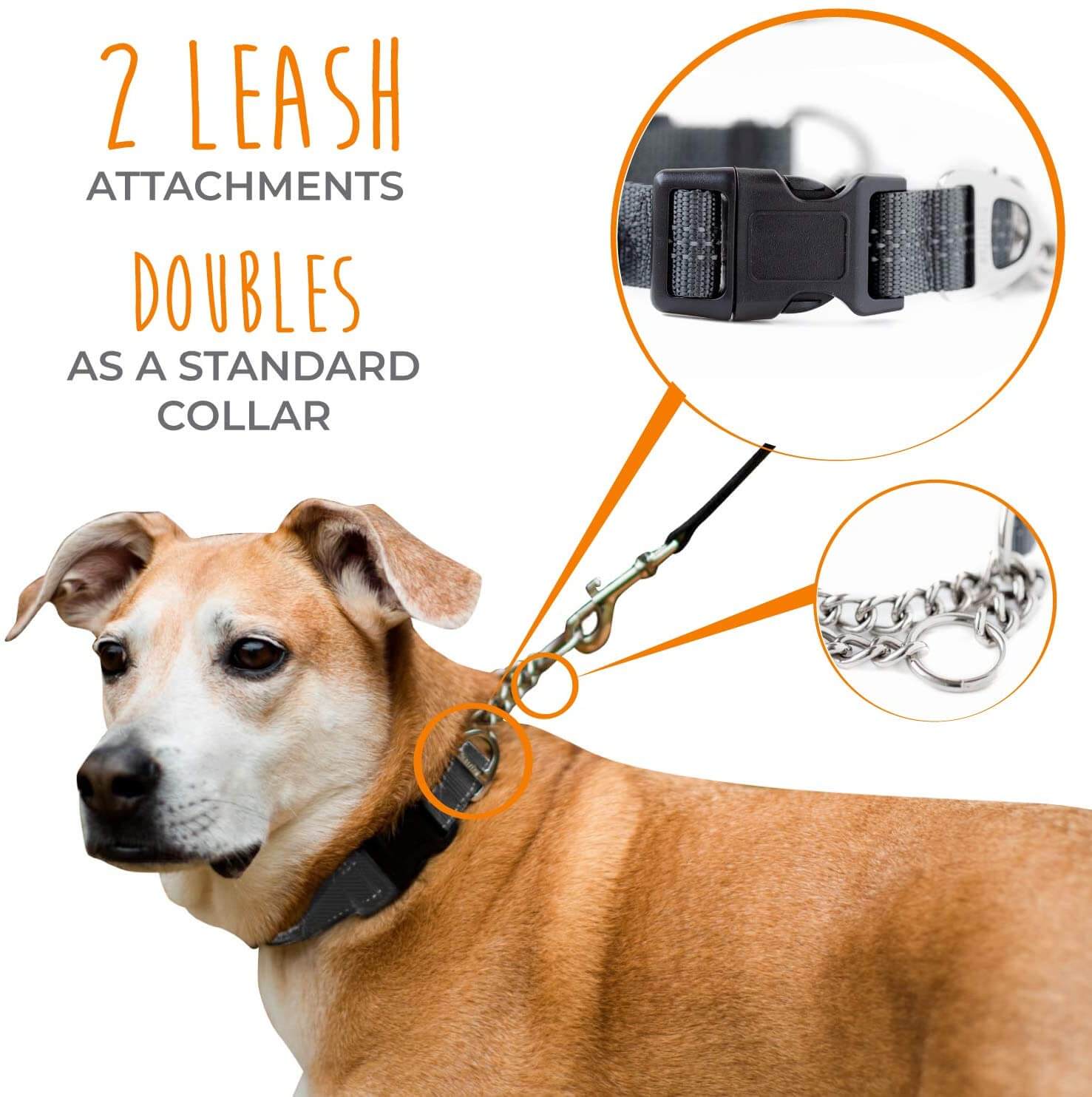 Mighty Paw Martingale Cinch Collar - Training Made Easy