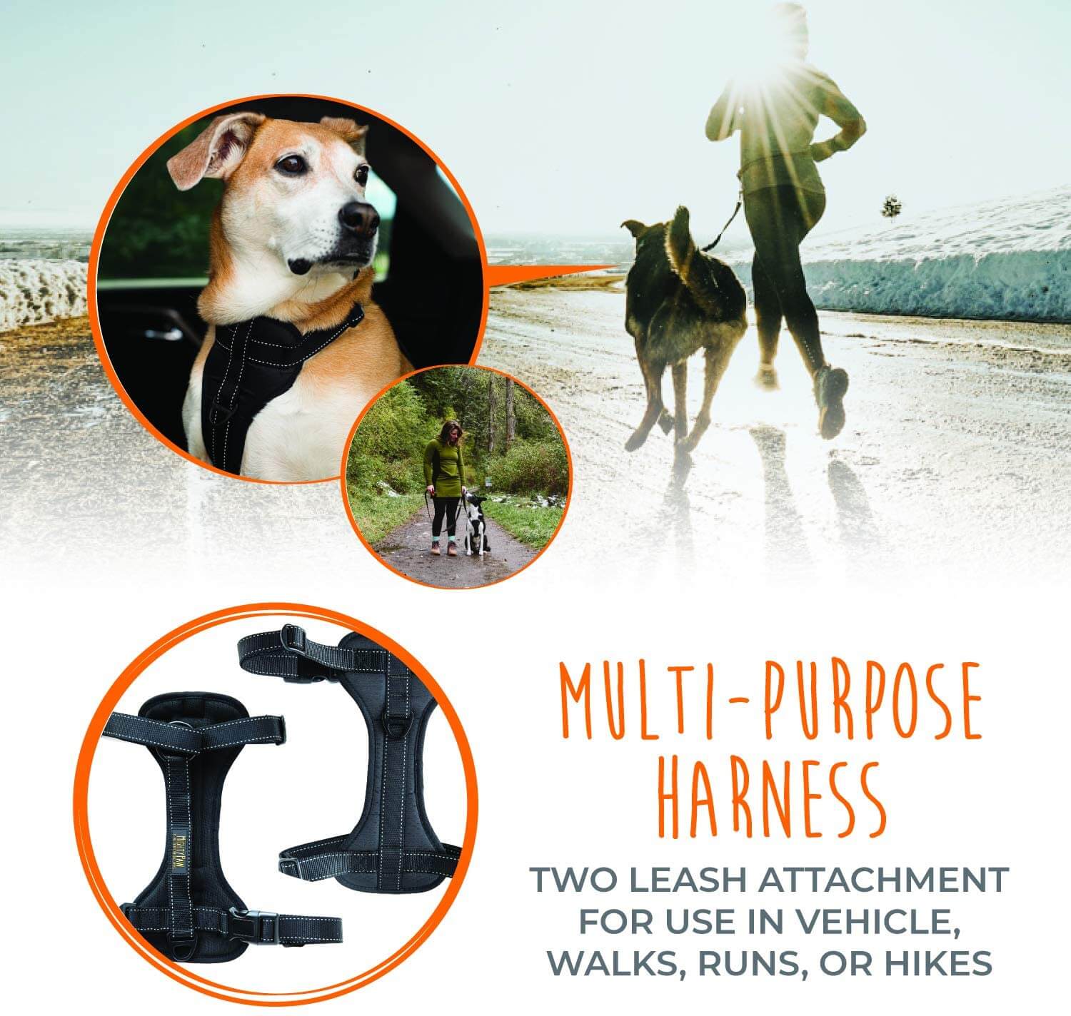 Safe behind outlet bars dog harness