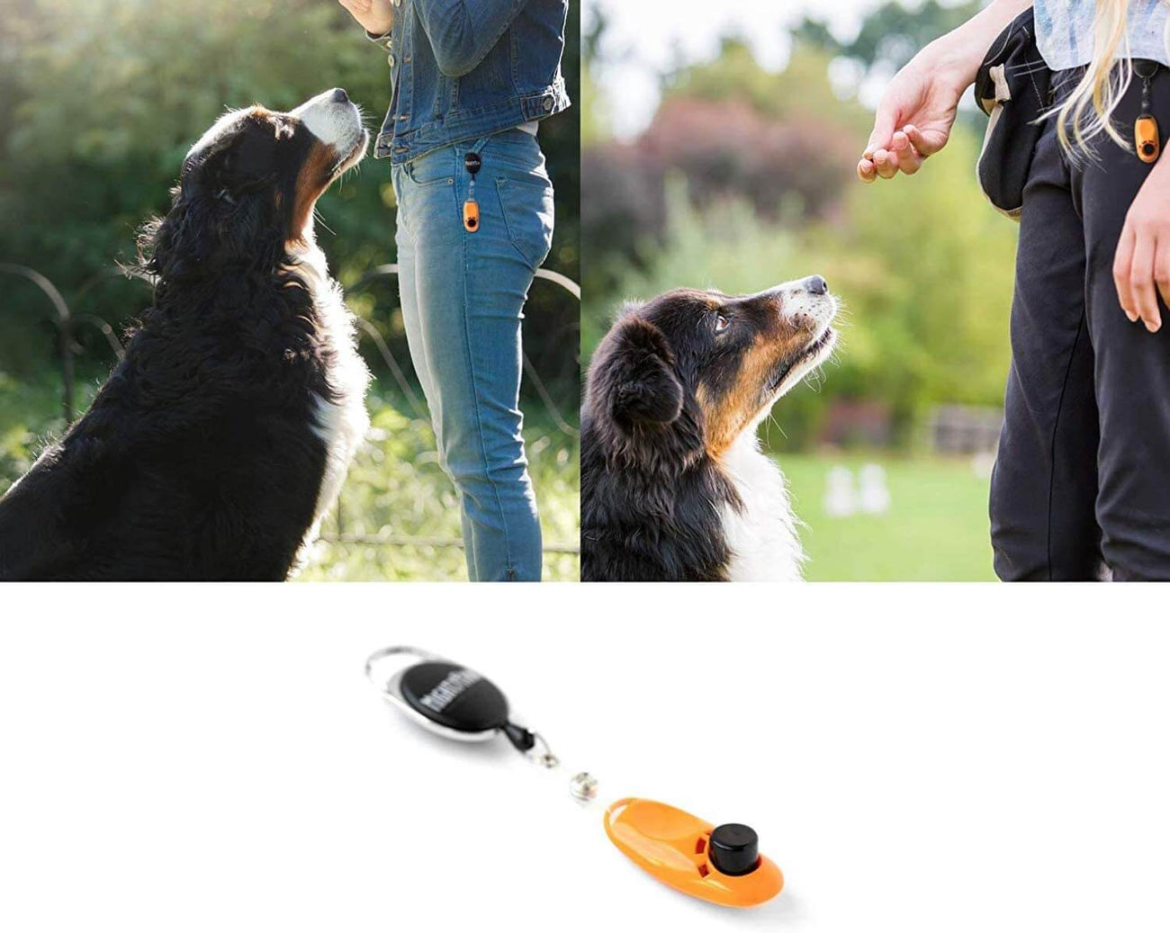 Dog Training Clicker with Retractable Clip & Lanyard by Mighty Paw