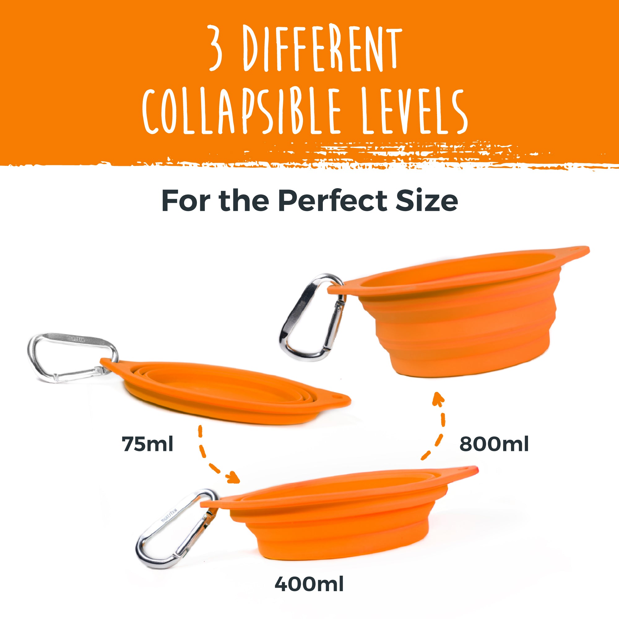 Collapsible Travel Dog Bowl Set 2 Pack with Clip On Carabiners