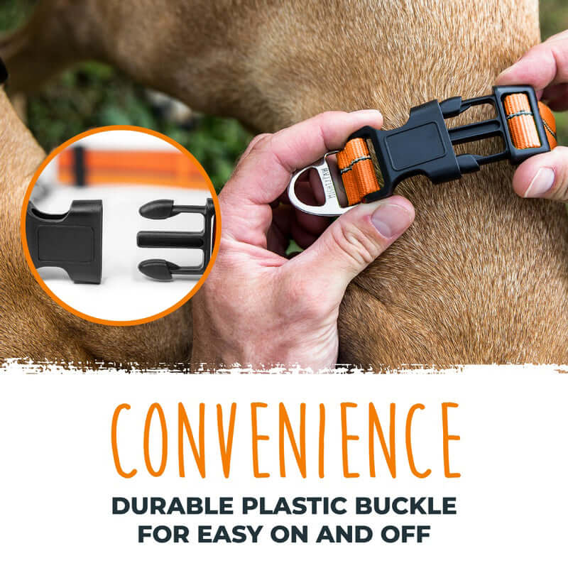 Martingale Dog Collar 2.0