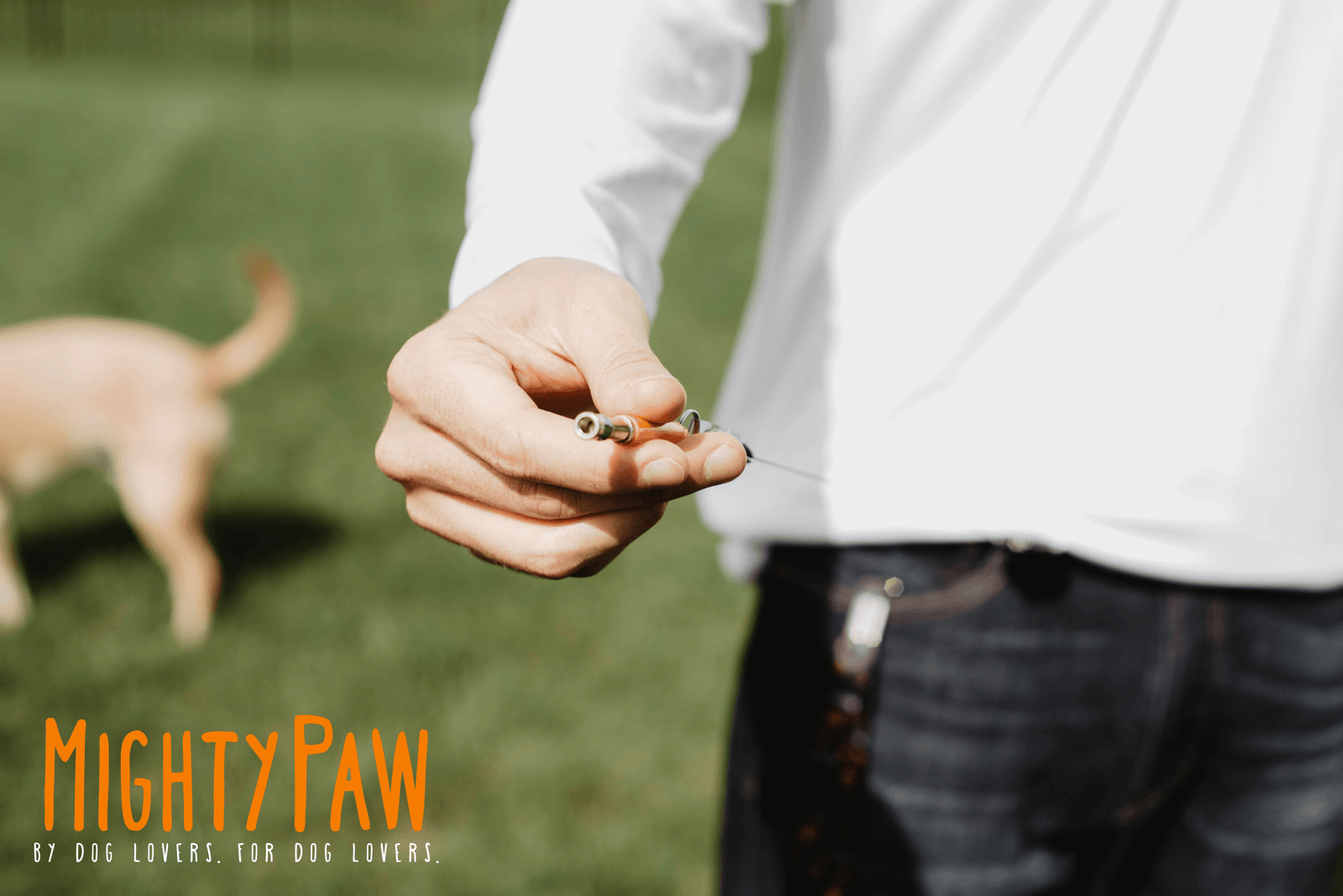 Dog Training Whistle with Neck Lanyard & Retractable Clip by Mighty Paw