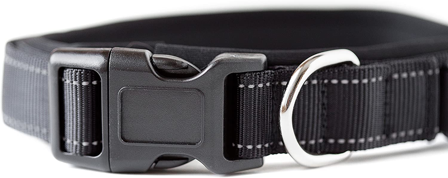 Padded Dog Collar