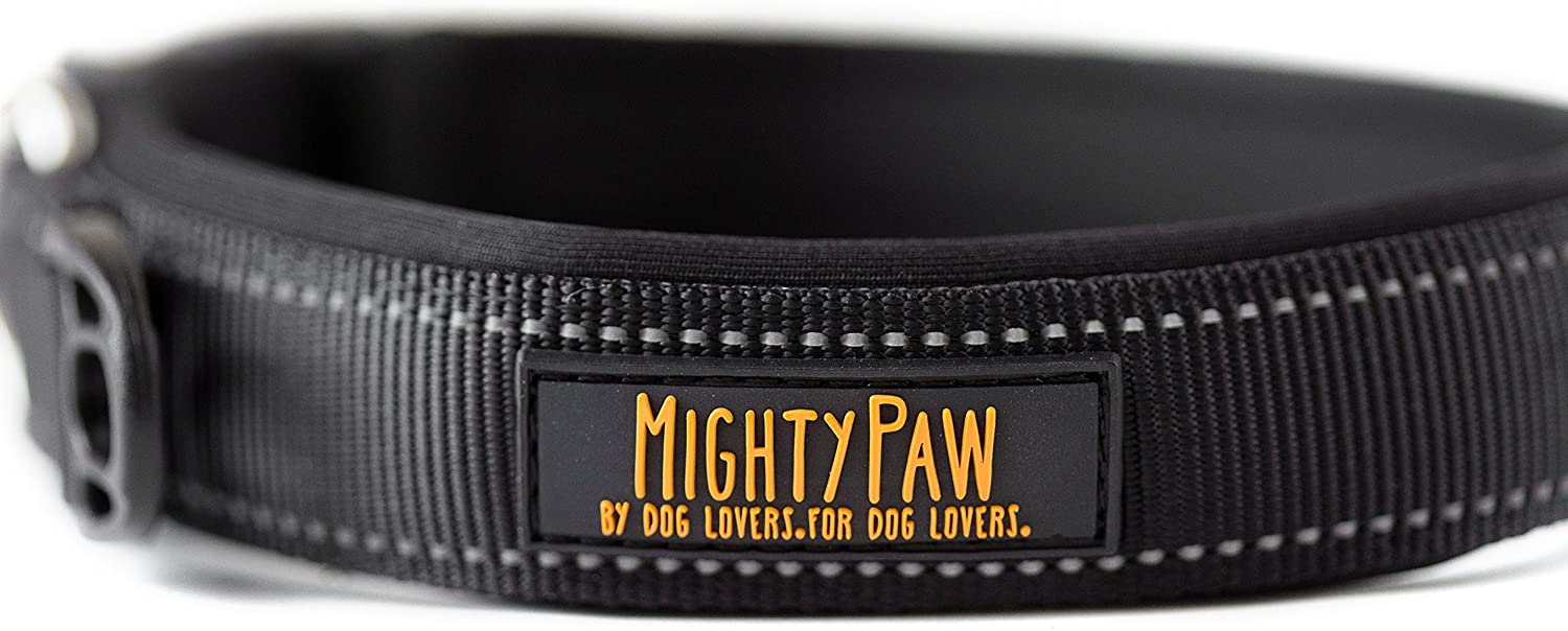 Padded Dog Collar