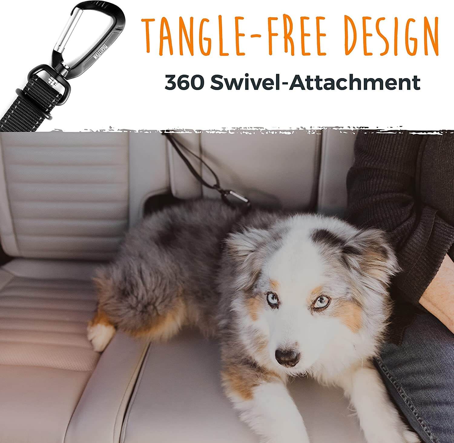 Pawsafe seatbelt clearance