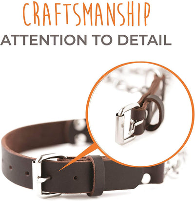 Leather Martingale Training Collar | Gentle Correction for Dogs