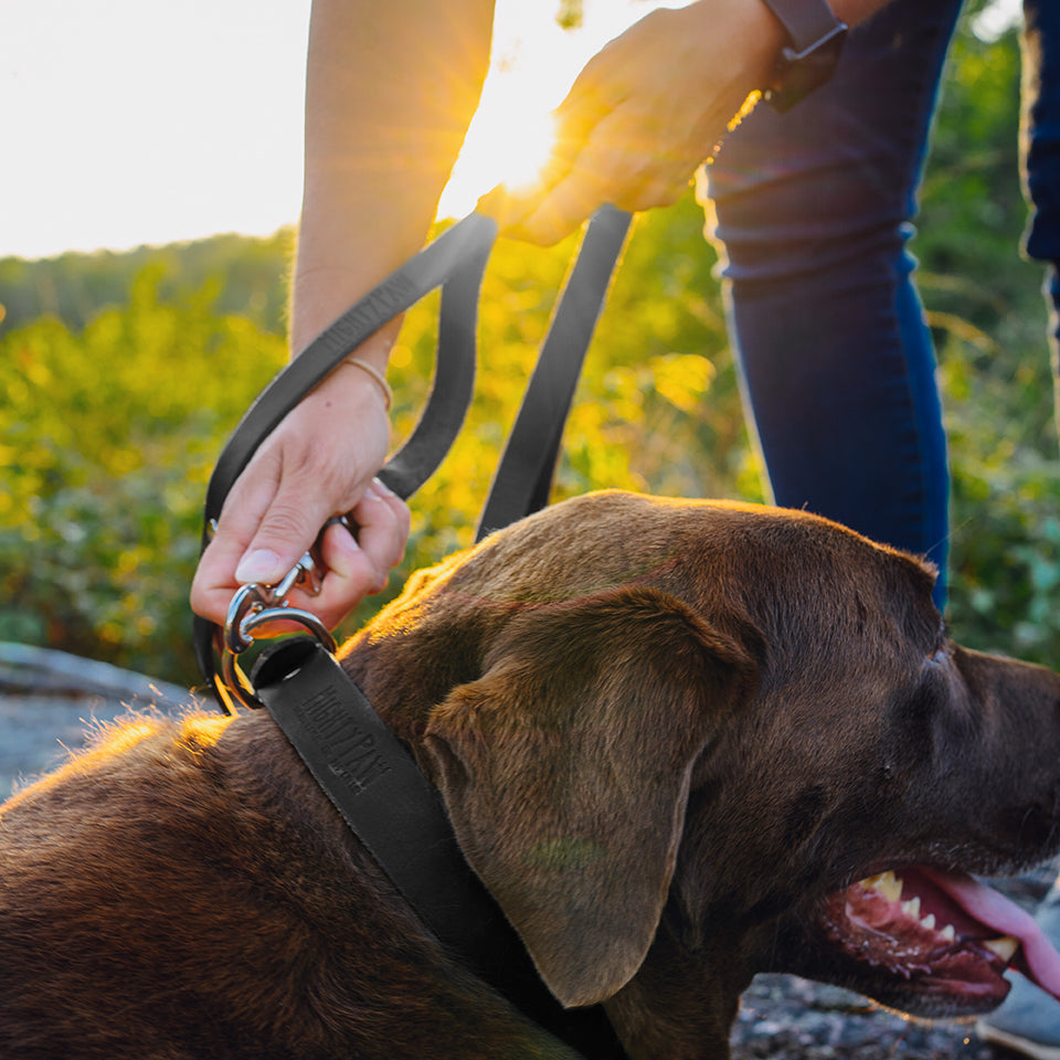 Leather Dog Leash (Distressed)