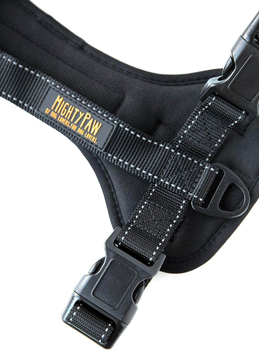 Keep Your Dog Safe on the Road with Mighty Paw's Vehicle Safety Harness