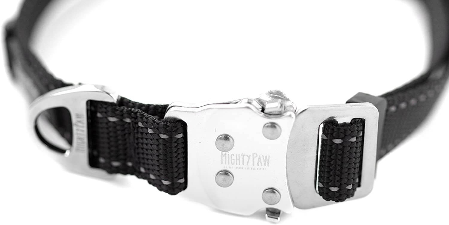 All-Metal Hardware Dog Collar