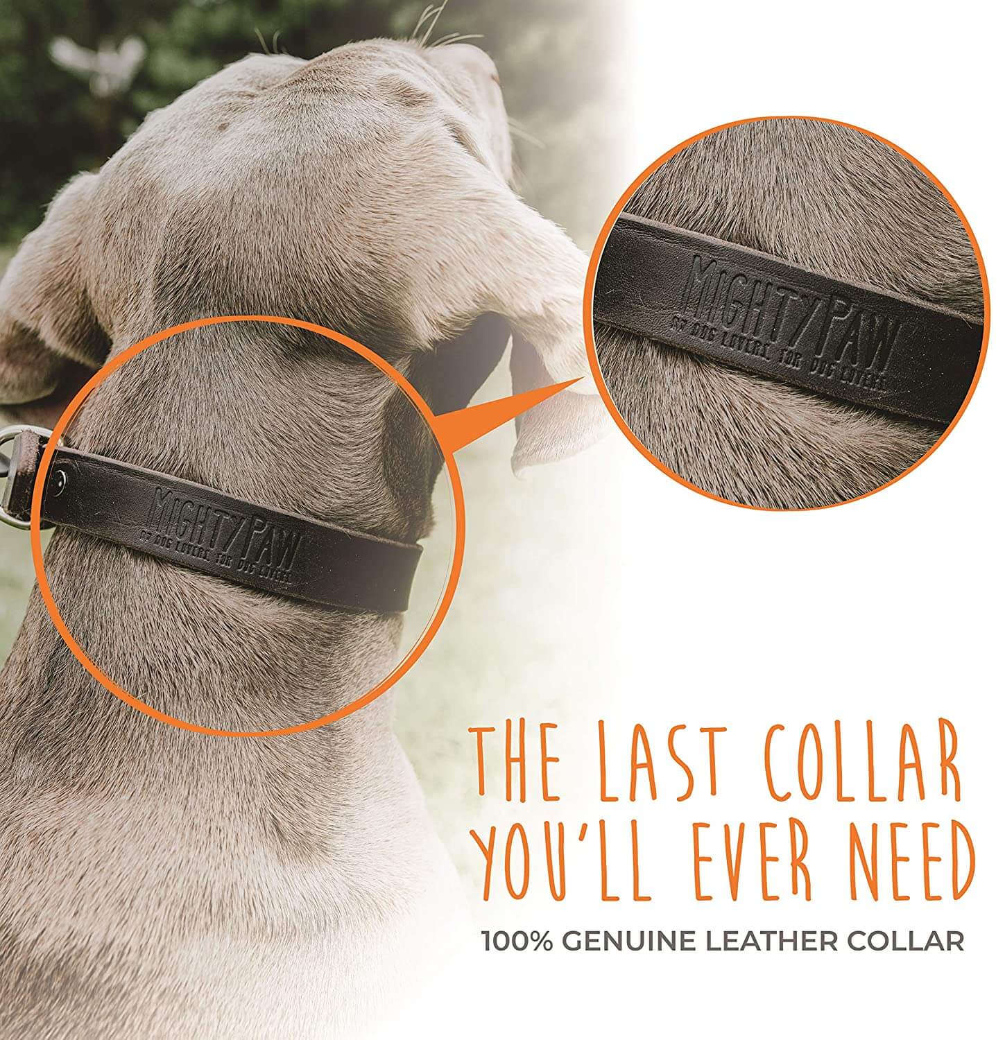 Leather clearance training collar