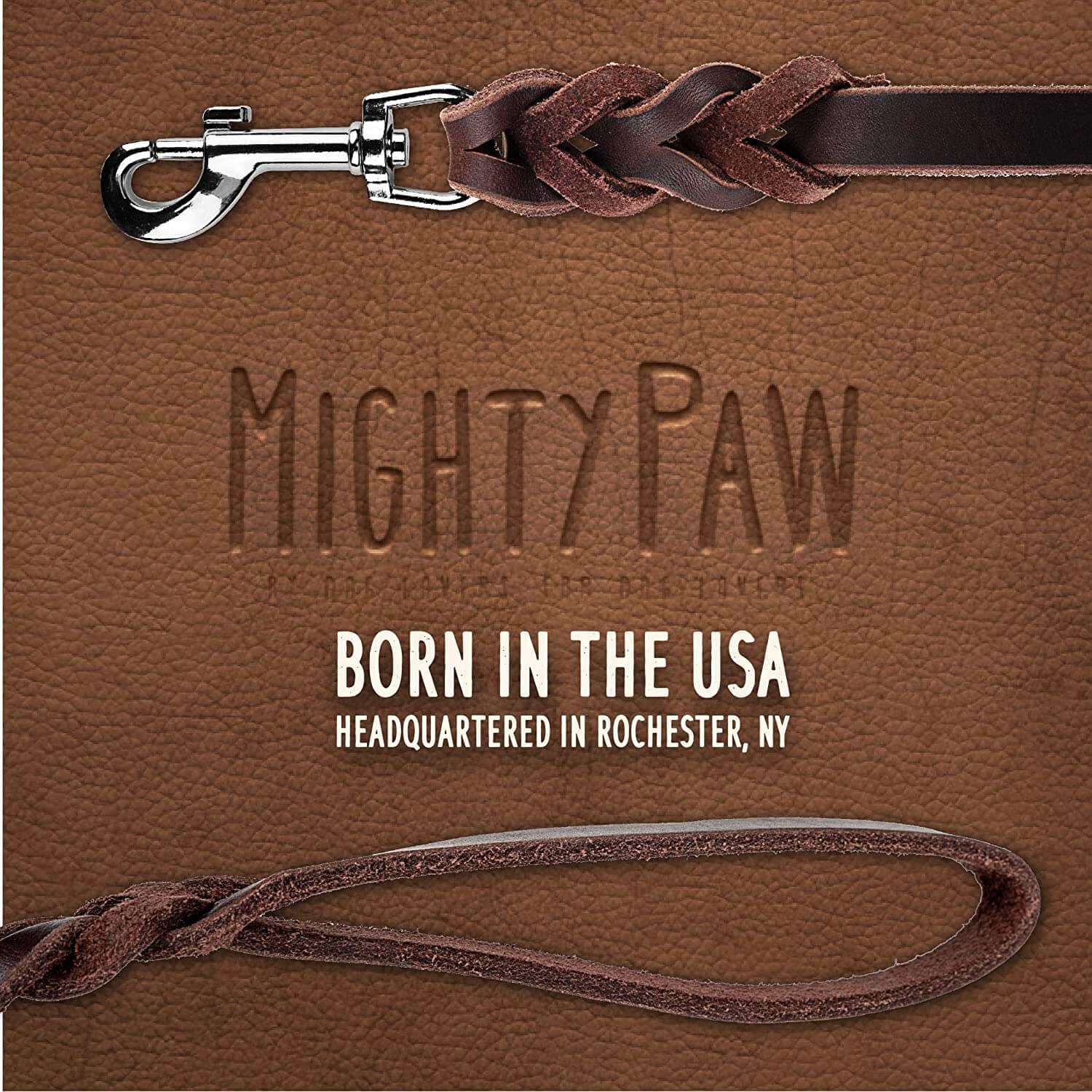 Mighty Paw Braided Leather Dog Leash