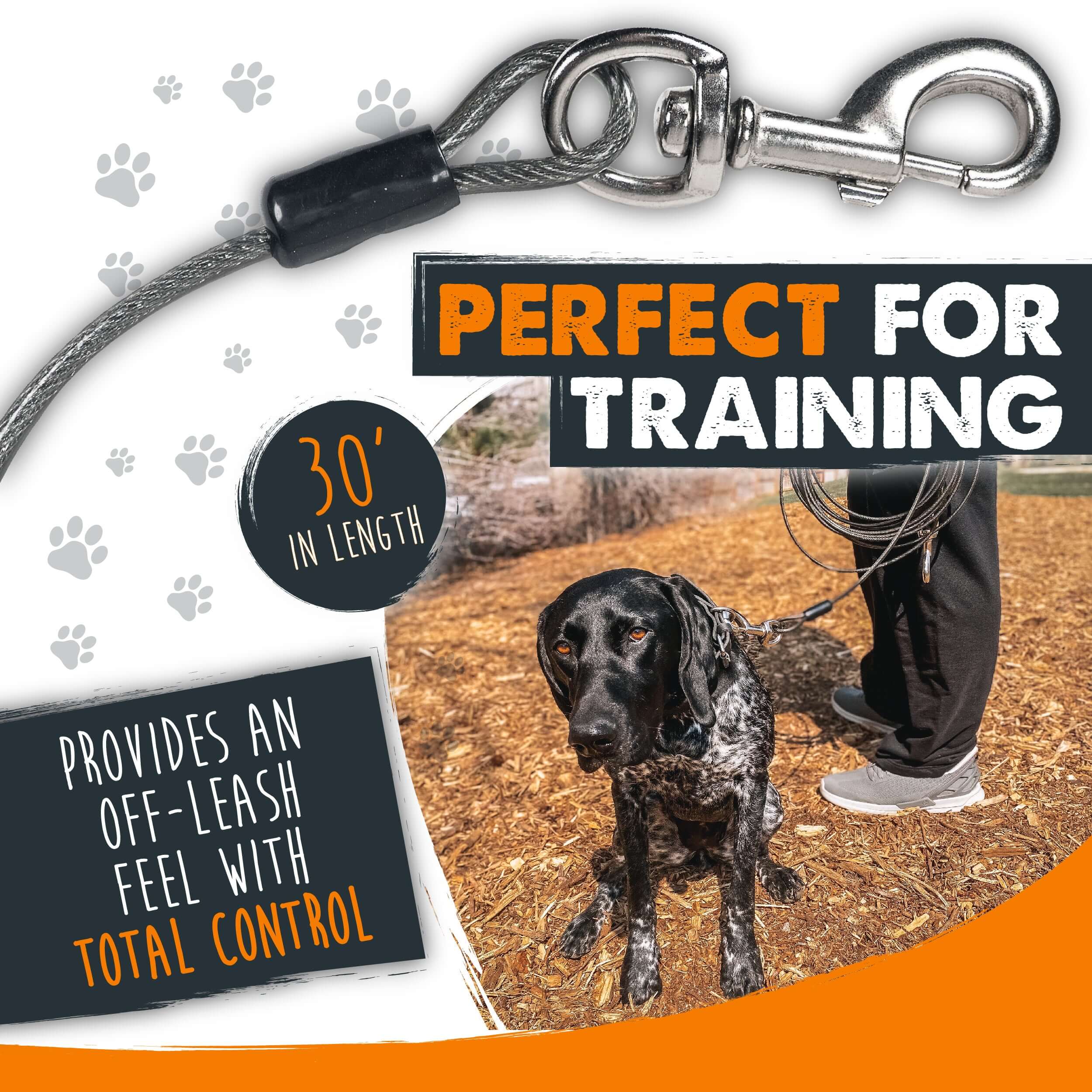 Mighty Paw 30' Reflective Tie Out Cable Leash