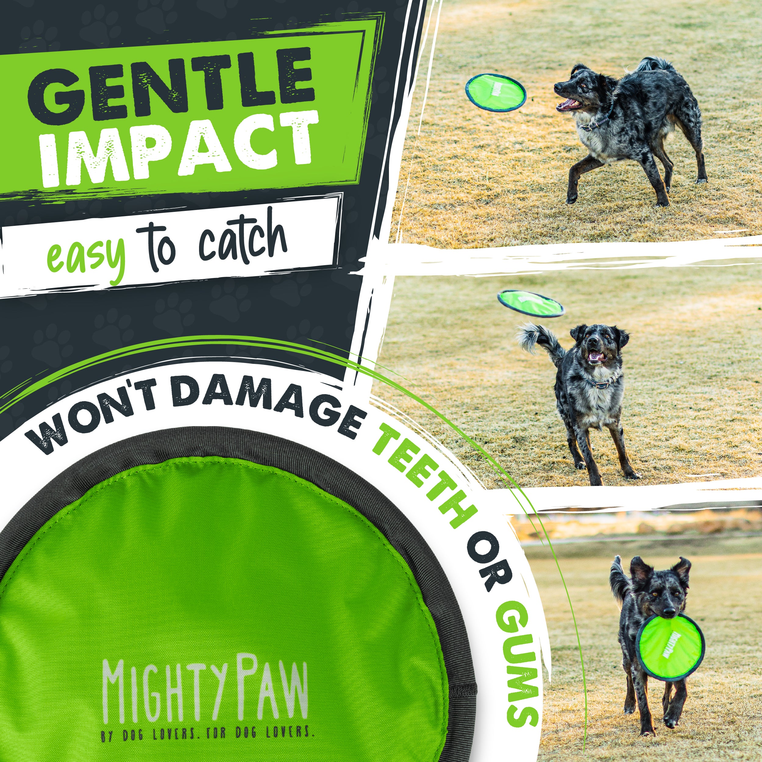 Mighty Paw Dog Frisbee (2 Pack)