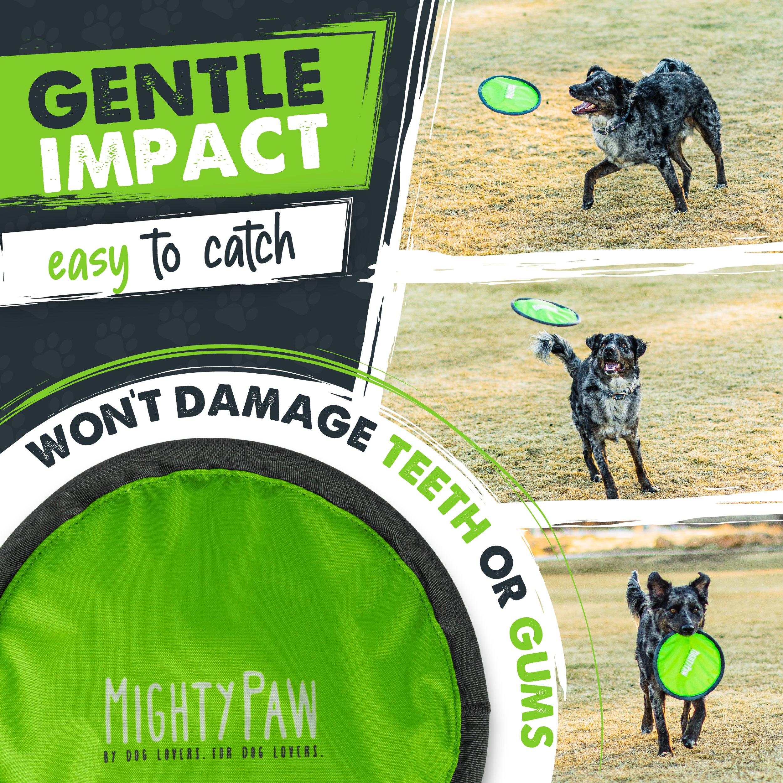 Durable Nylon Dog Frisbee (2 Pack) by Mighty Paw