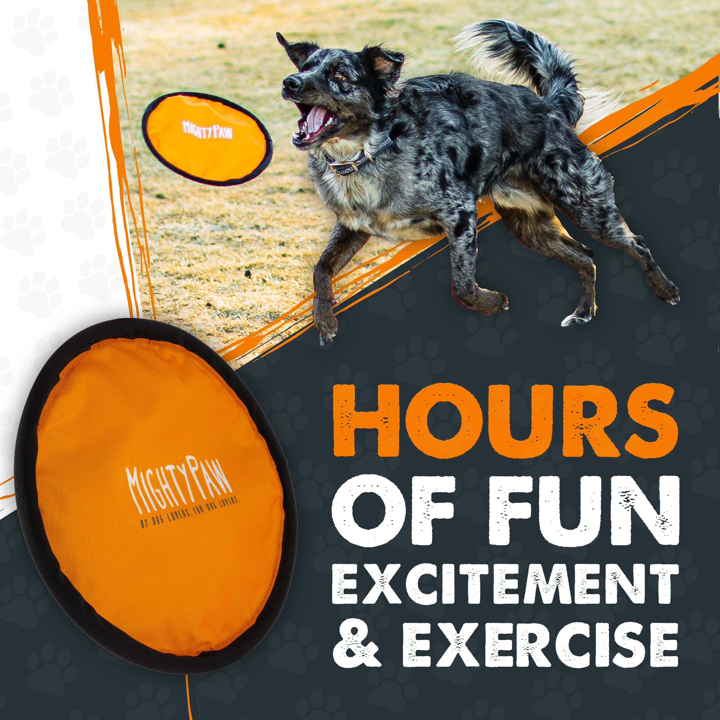 Mighty Paw Dog Frisbee (2 Pack)