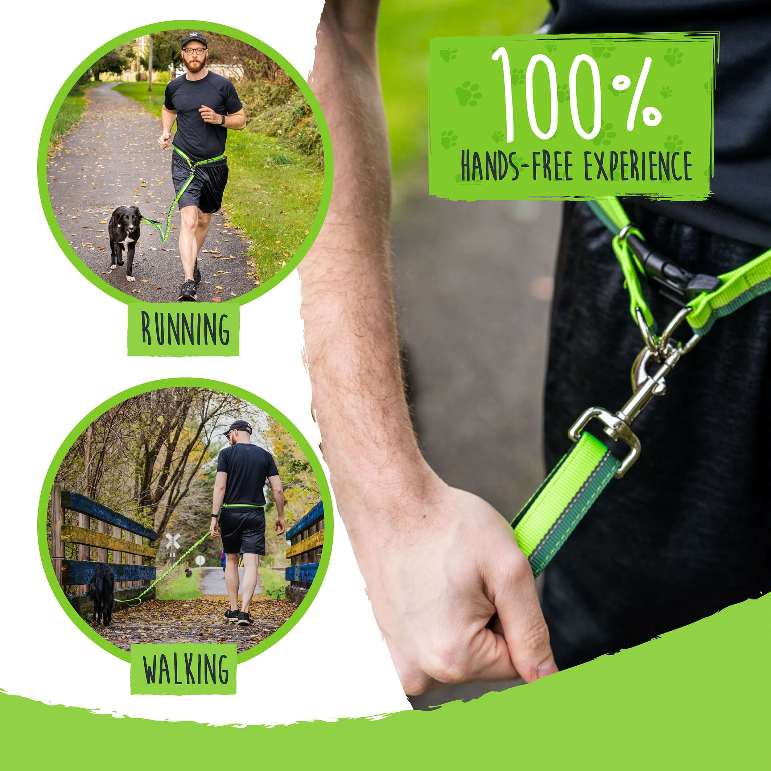 Bungee running clearance leash