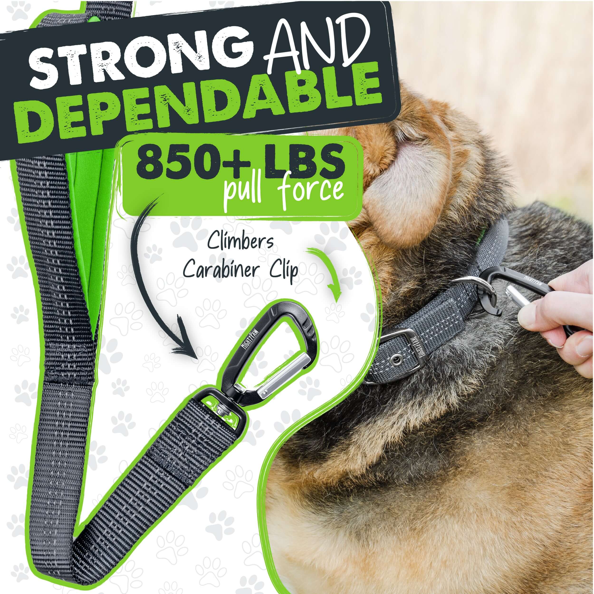 Dual Handle Dog Leash (2.0) HandleX2