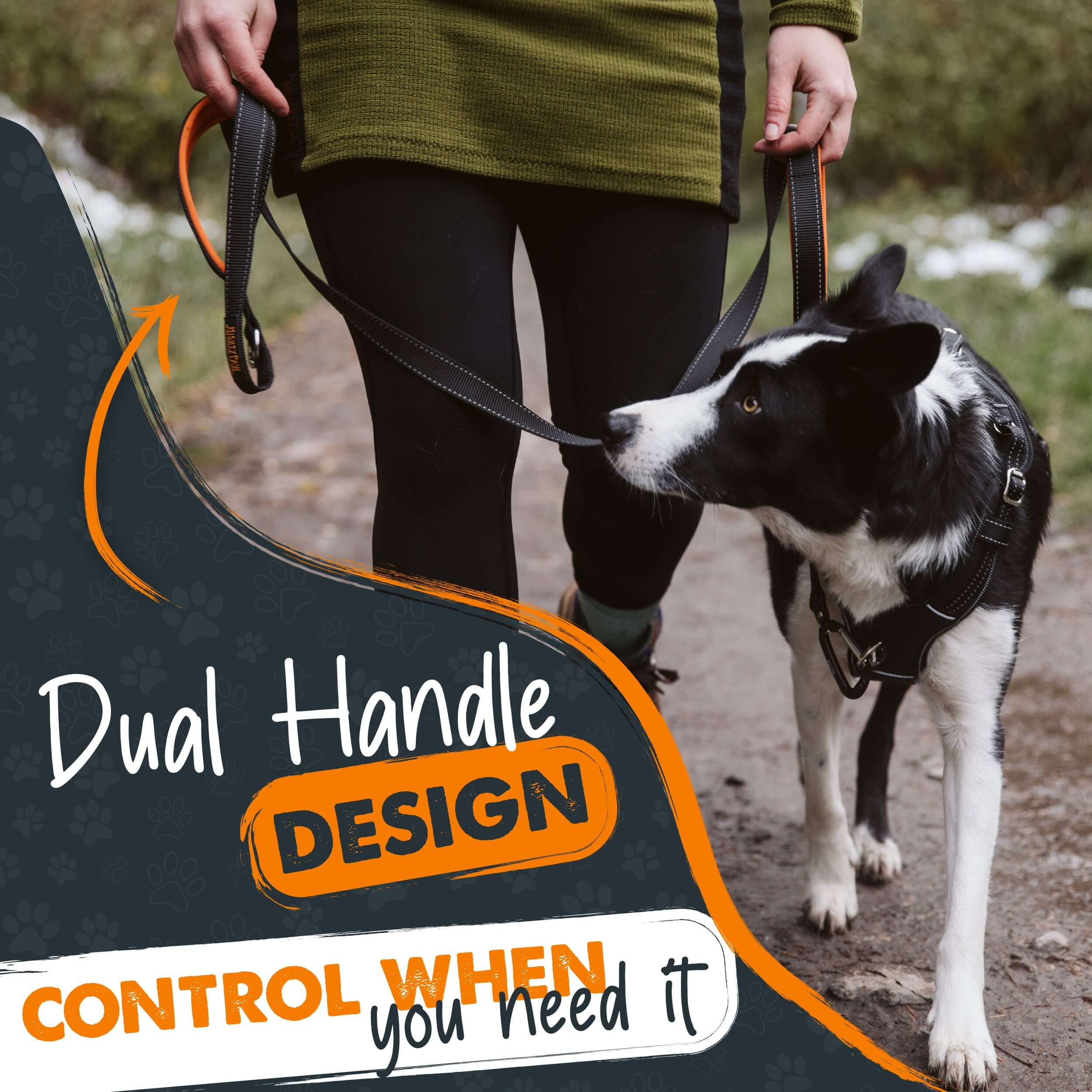 Dual handle dog store leash