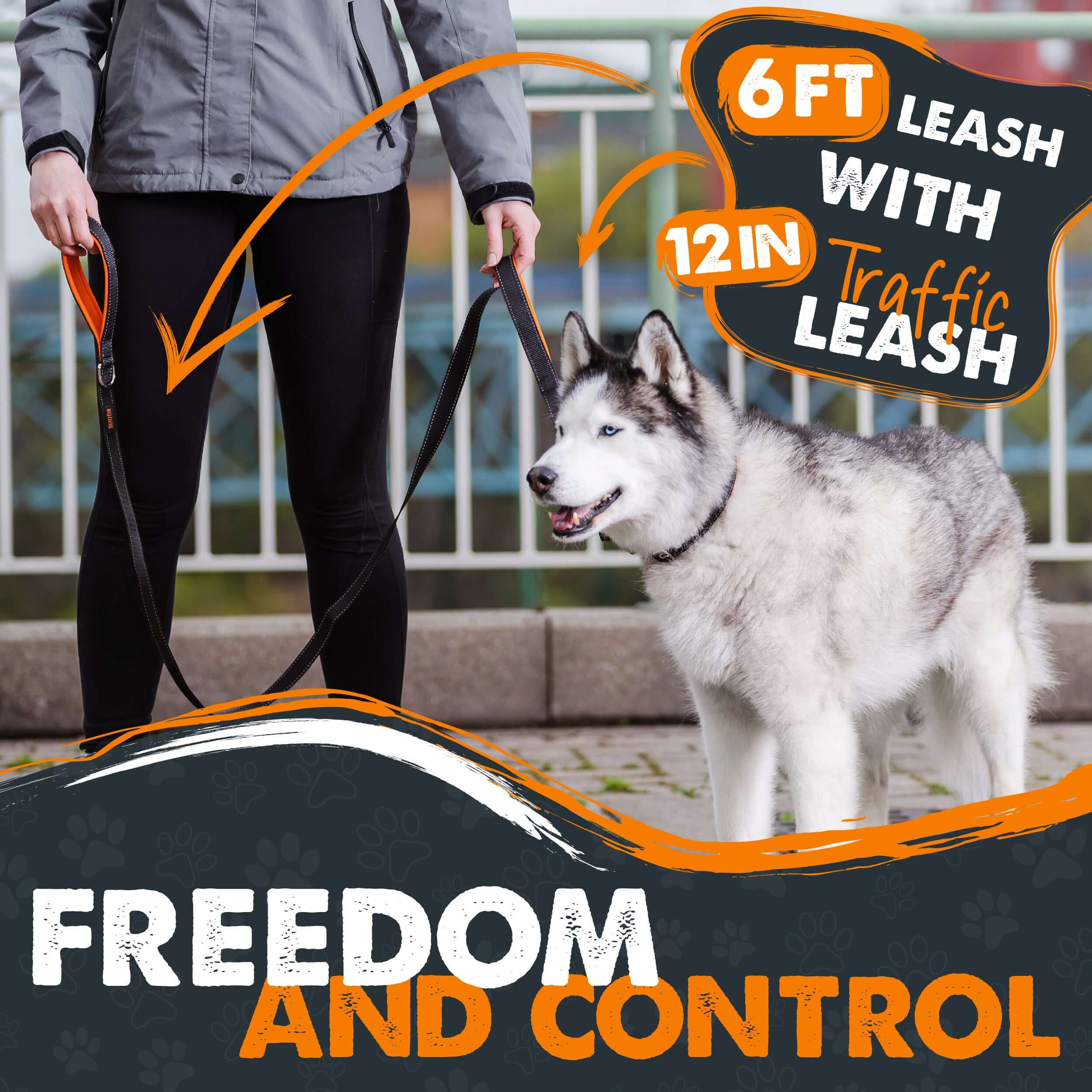 Dual Handle Dog Leash (2.0) HandleX2