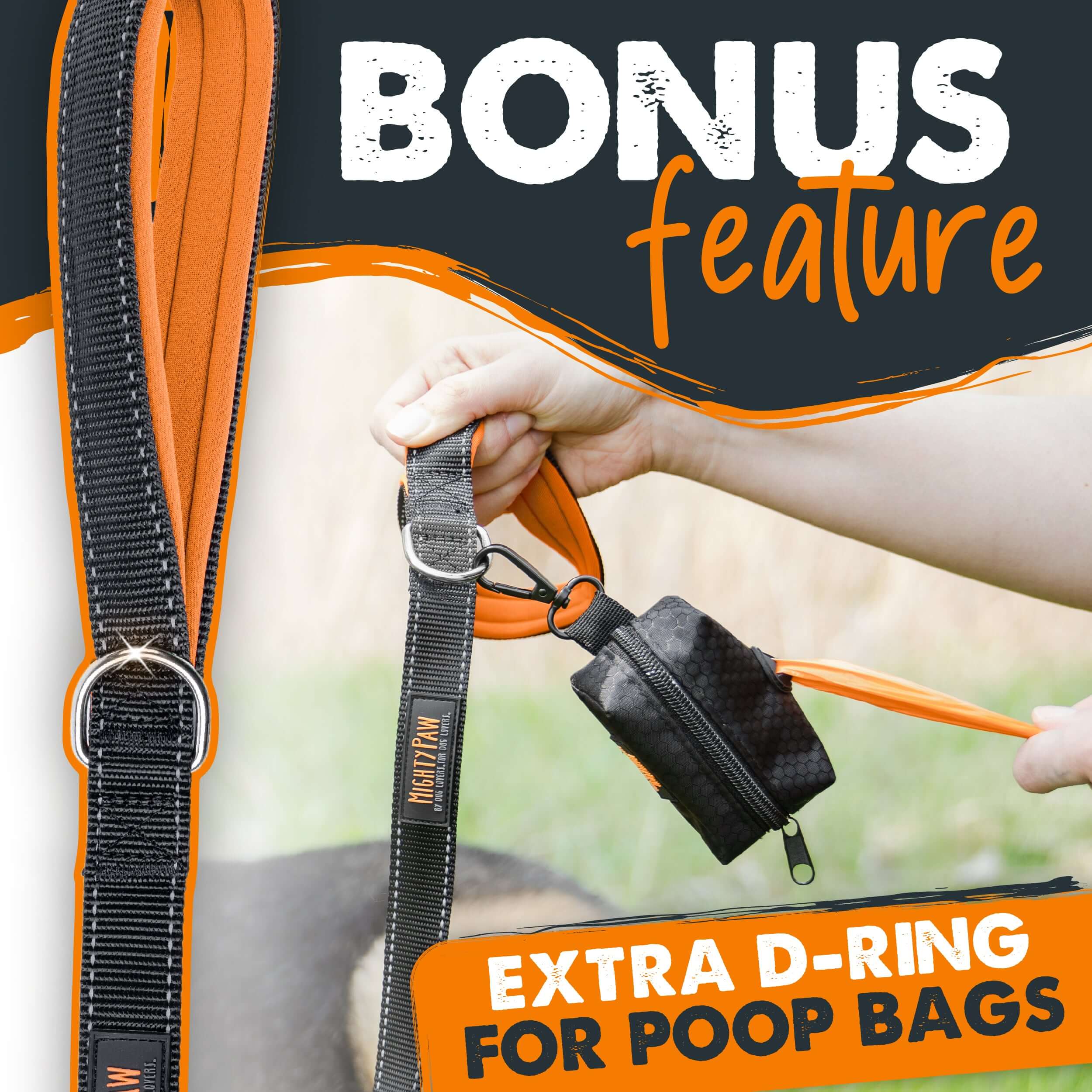 Dual handle clearance leash