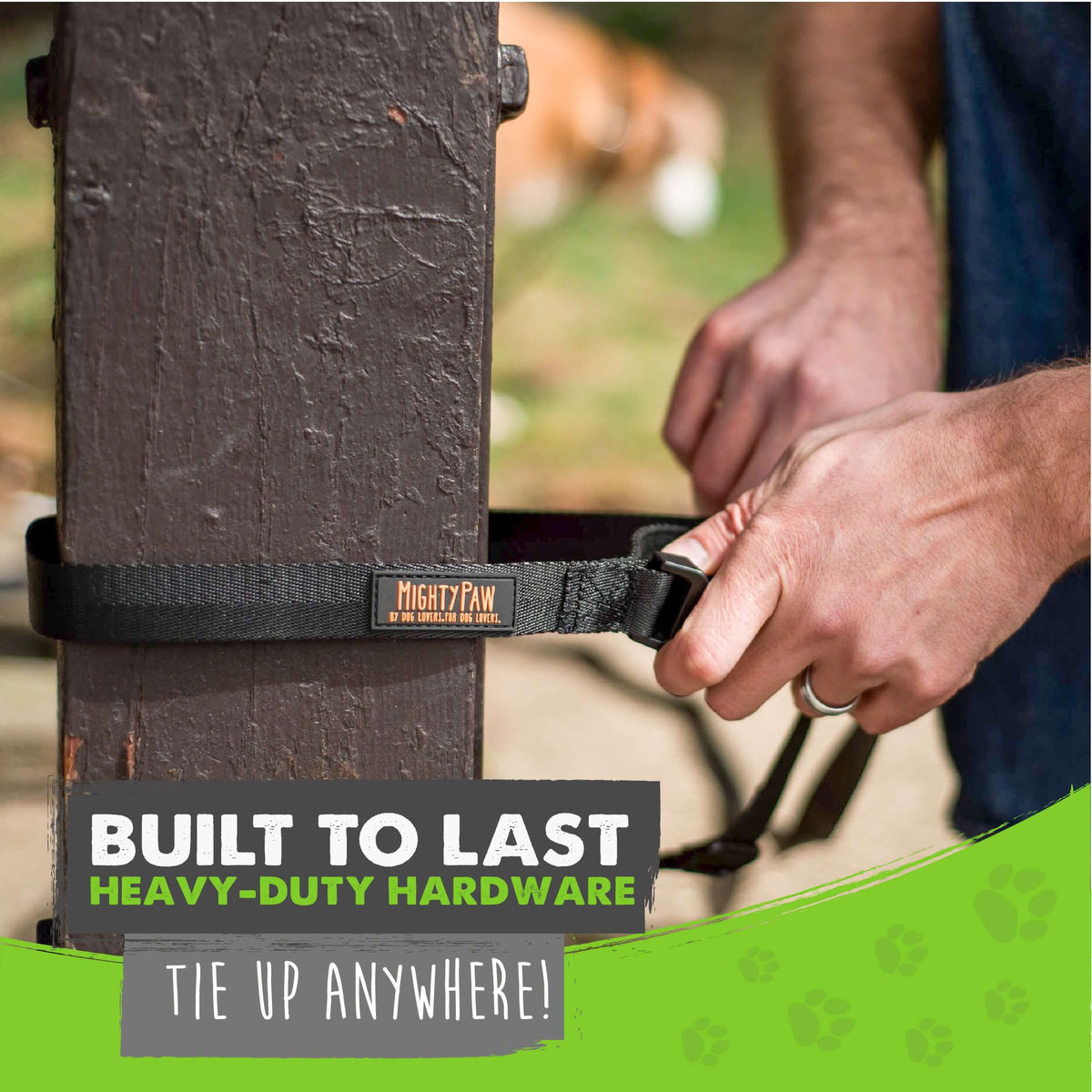 Enhance Training with Mighty Paw Long Leash 15' or 30' Options