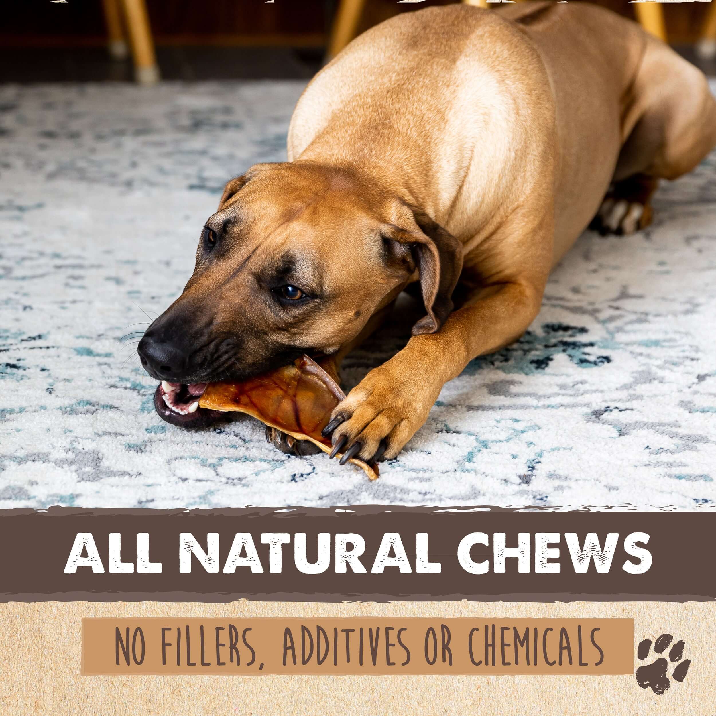 Pig Ear Chews for Dogs (12 Pack)