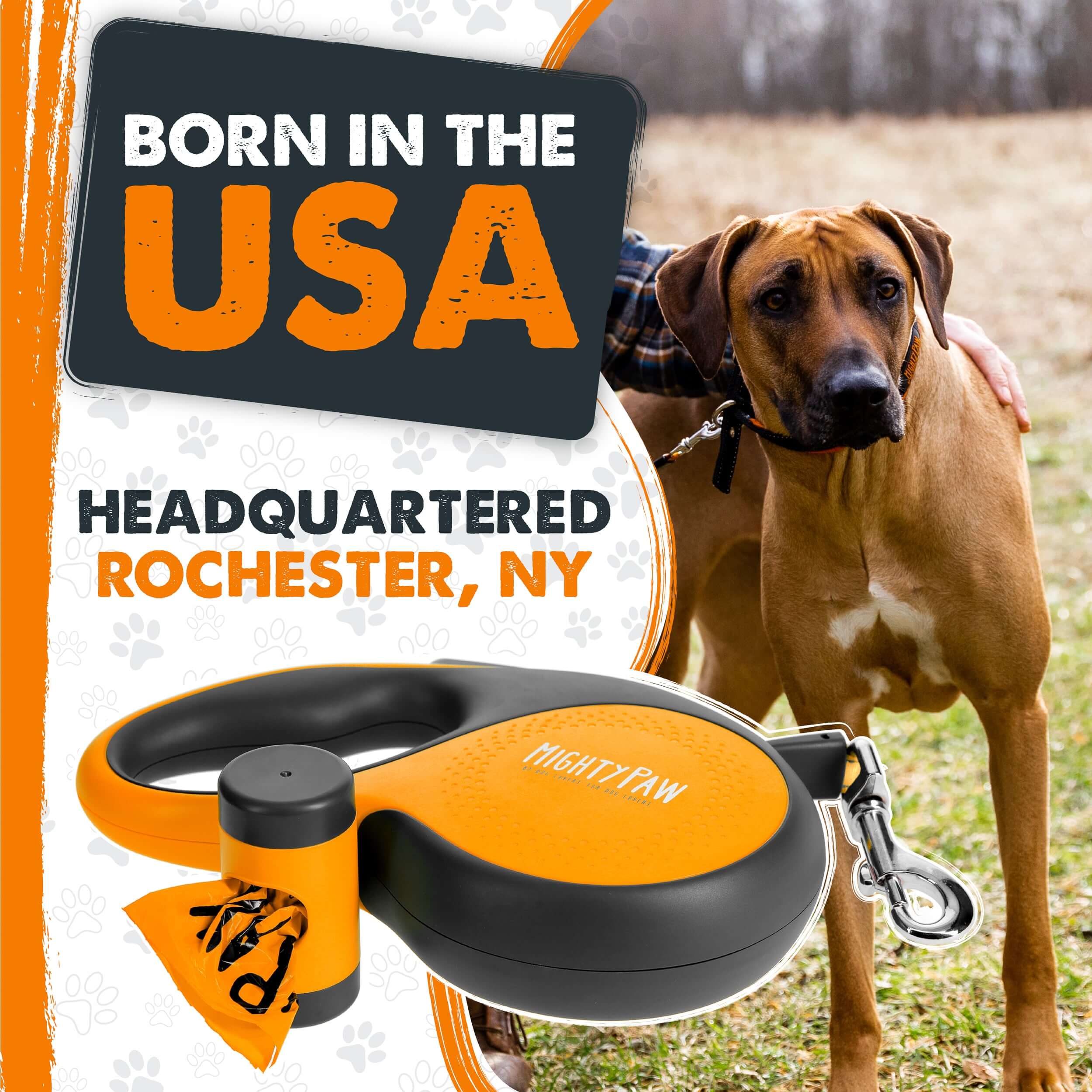 Retractable Leash 3.0 | 16' Leash with Built in Poop Bag Holder