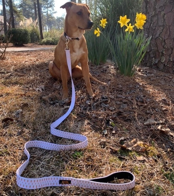 Easter Dog Collar & Leash Bundle