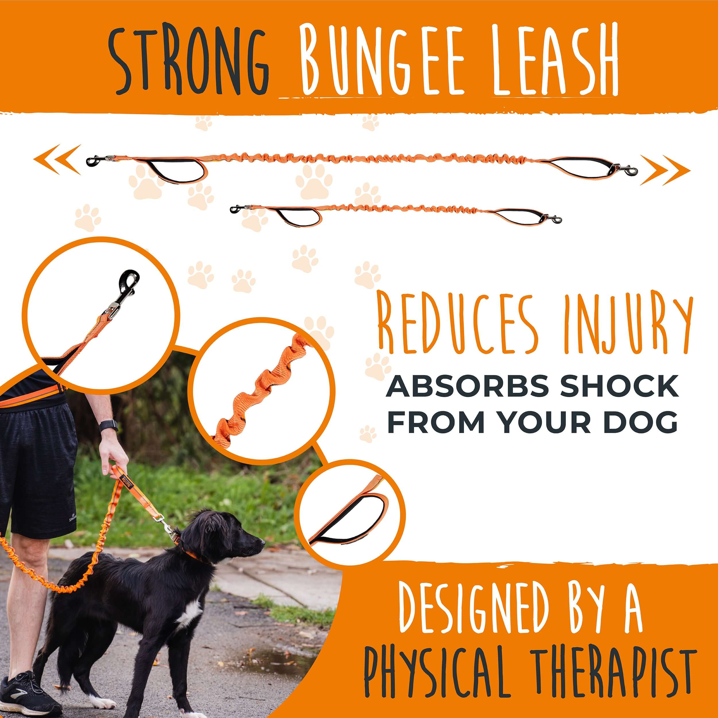 Mighty Paw Hands Free Bungee Leash 2.0