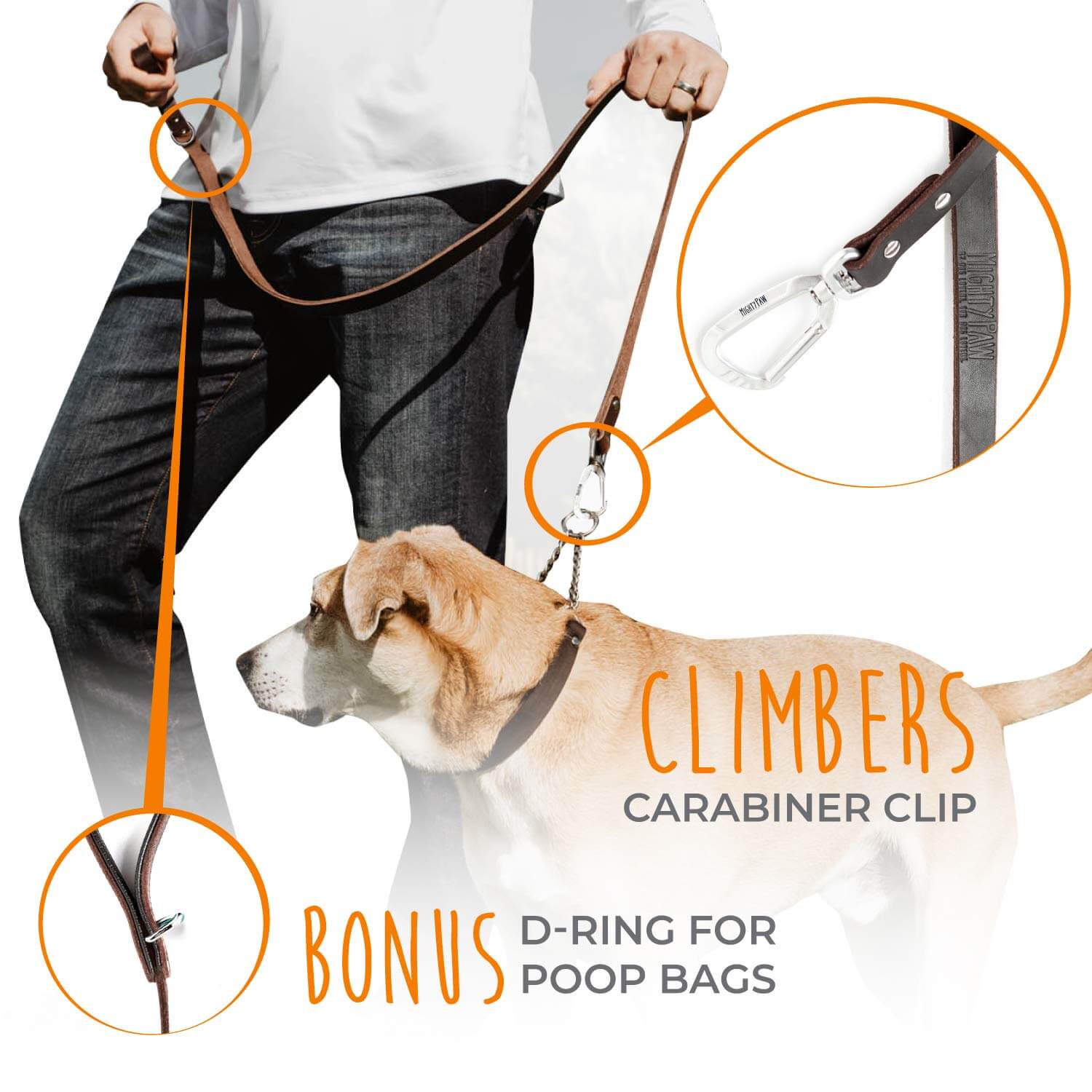 Top paw 6 outlet ft leash