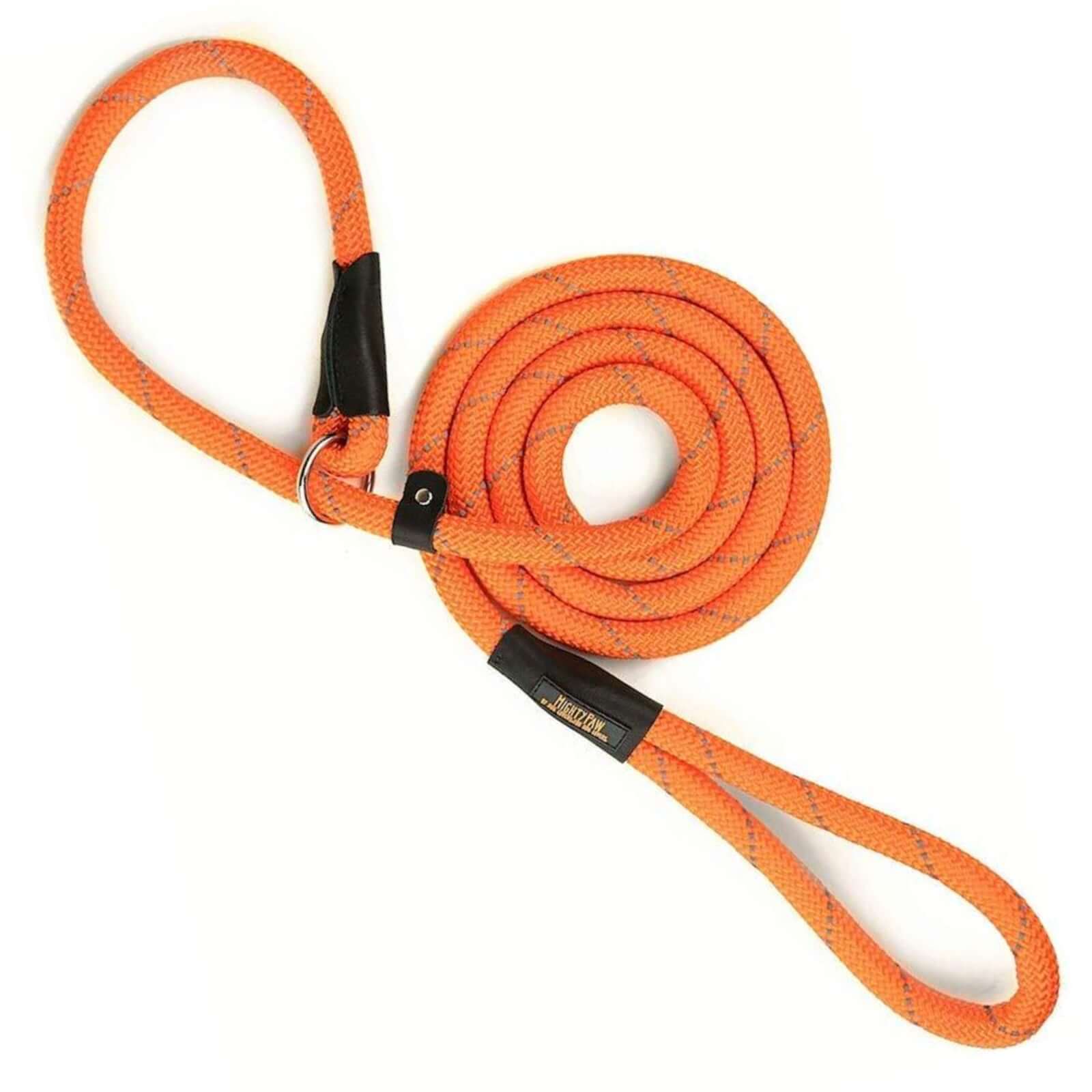 Shelter Bundle - Martingale Cinch Collar + Slip Rope Leash +  Harness 2.0