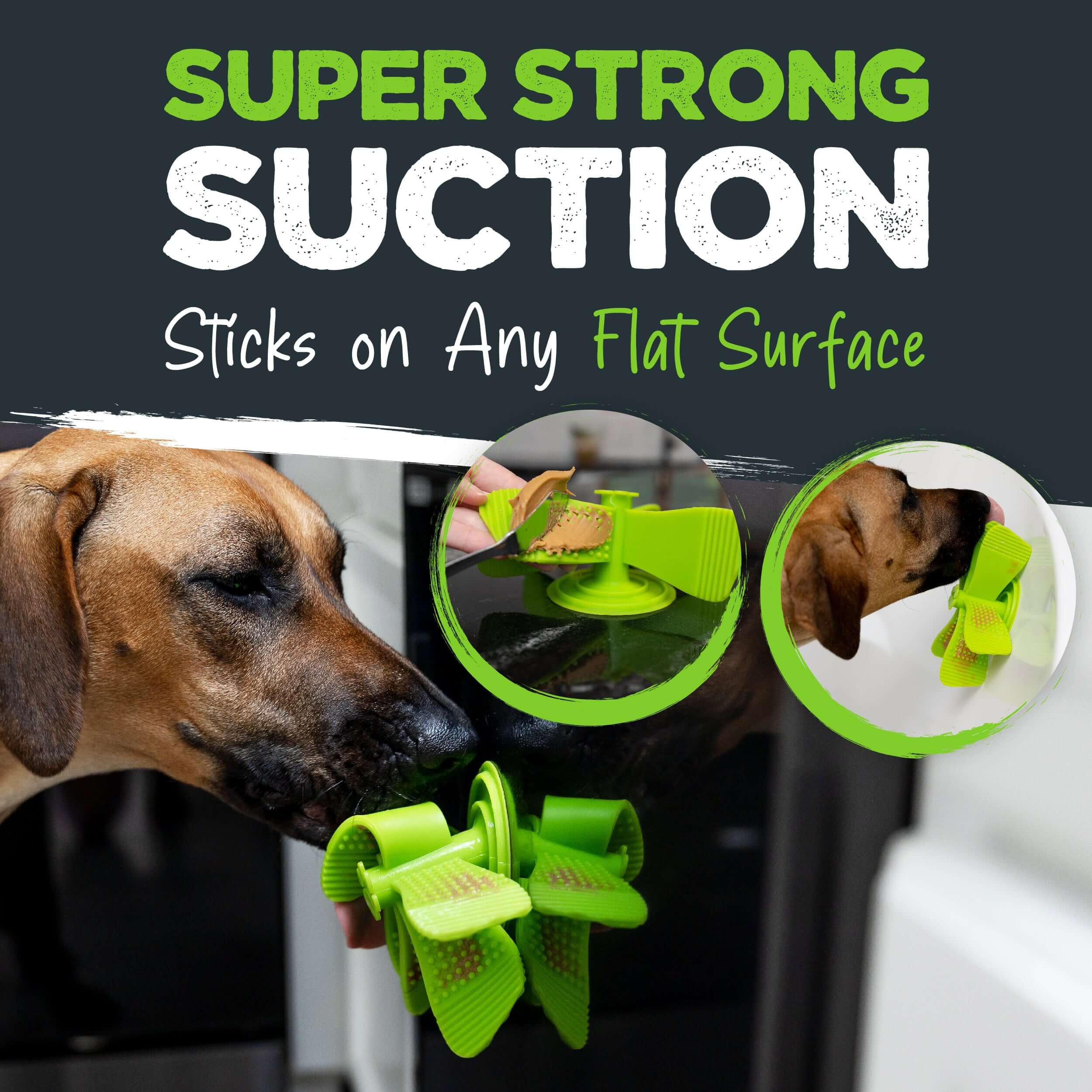 https://mightypaw.com/cdn/shop/products/SlowFeeder_Listing_Green_v01-08.jpg?v=1677768851&width=2500