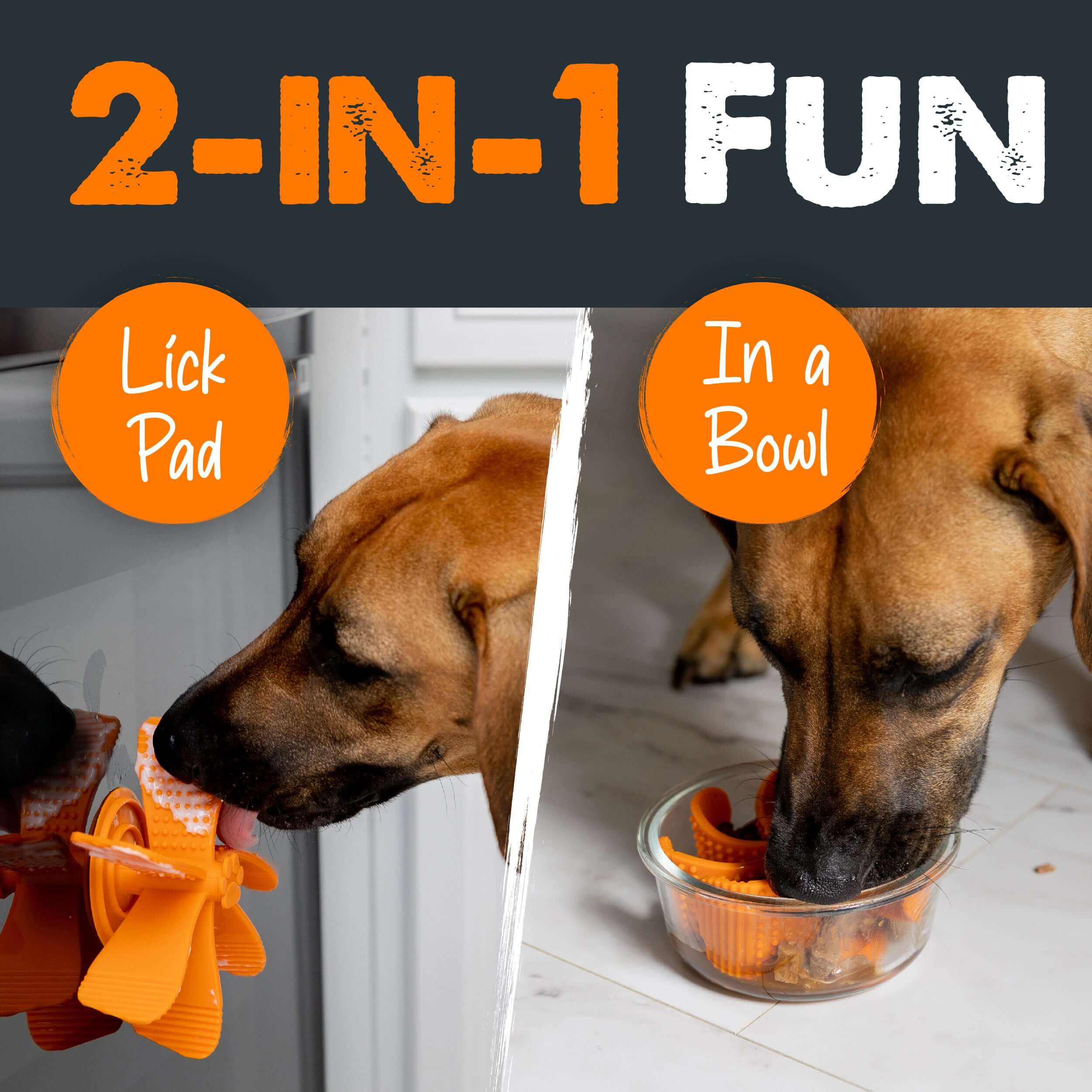 Silicone Slow Feed Bowl Insert – The Crazy Dog Mom