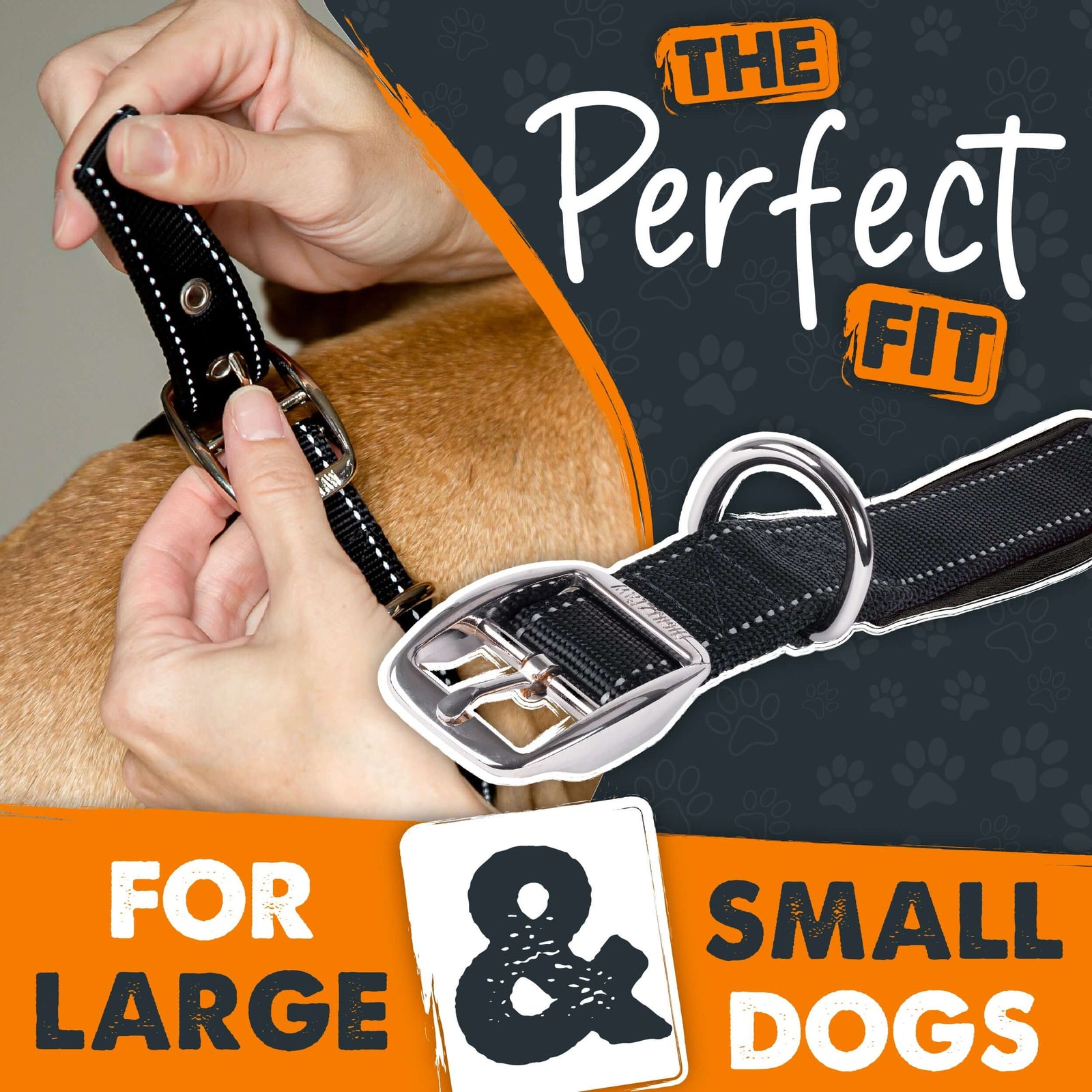 Mighty Paw Sport Collar 2.0 Comfortable, Durable for Active Dogs