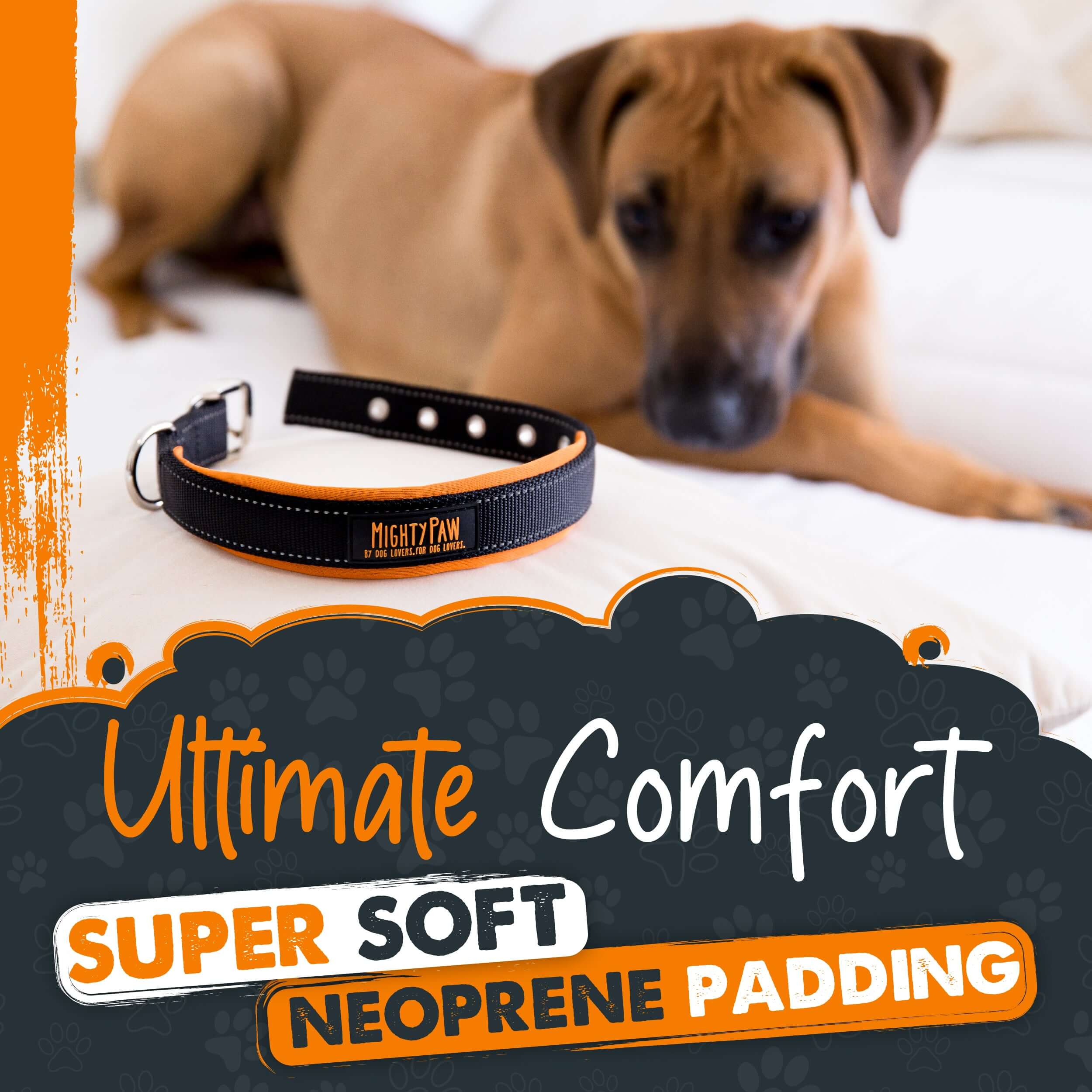 Premium paws hotsell barking control collar