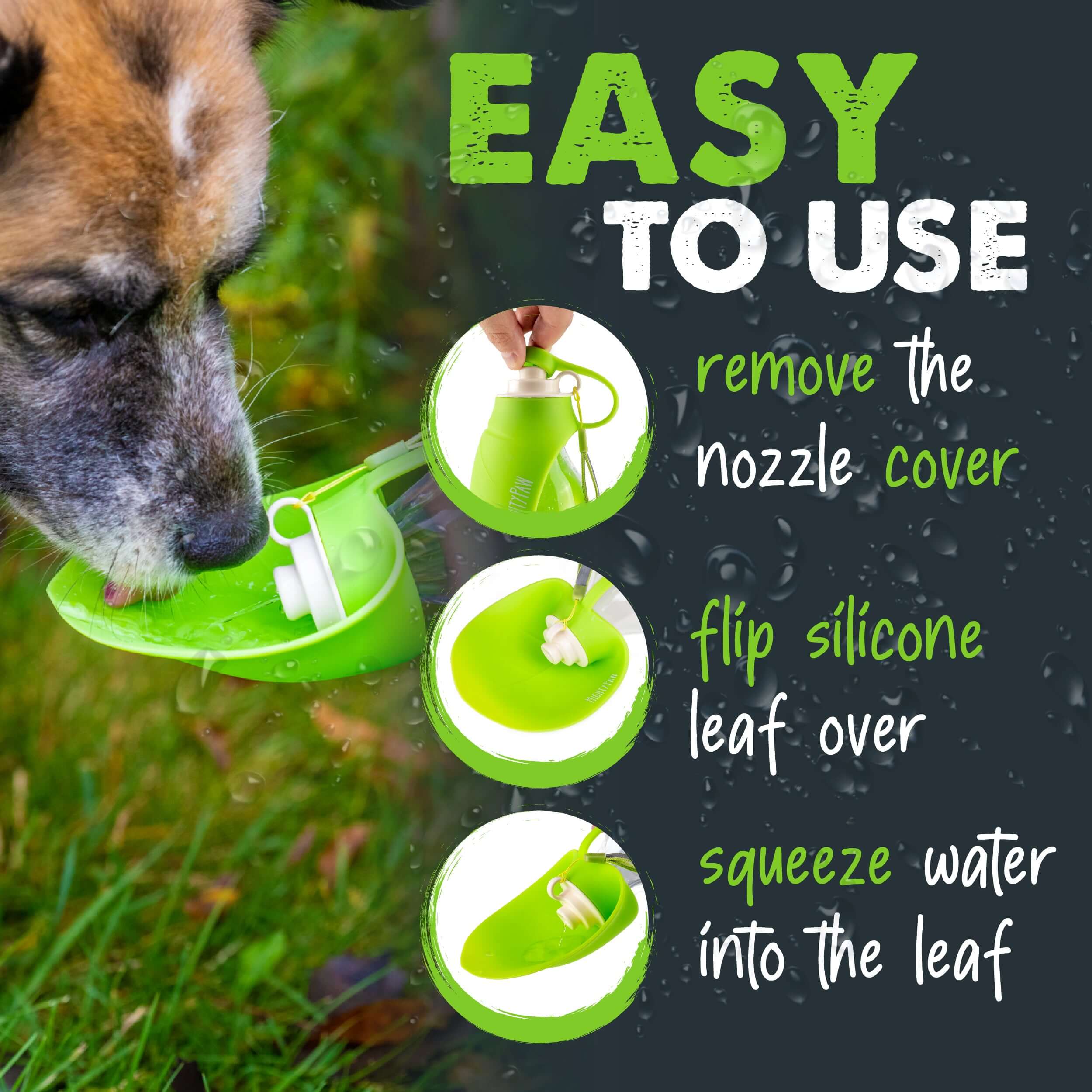 Keep Your Pup Hydrated on the Go with Mighty Paw Travel Dog Water Bottle