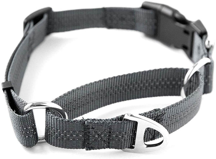 New Dog Bundle - Dog Harness 2.0 + Martingale Cinch Collar + Dual Handle Dog Leash + Tinkle Bellsv+ Dog Seat Belt