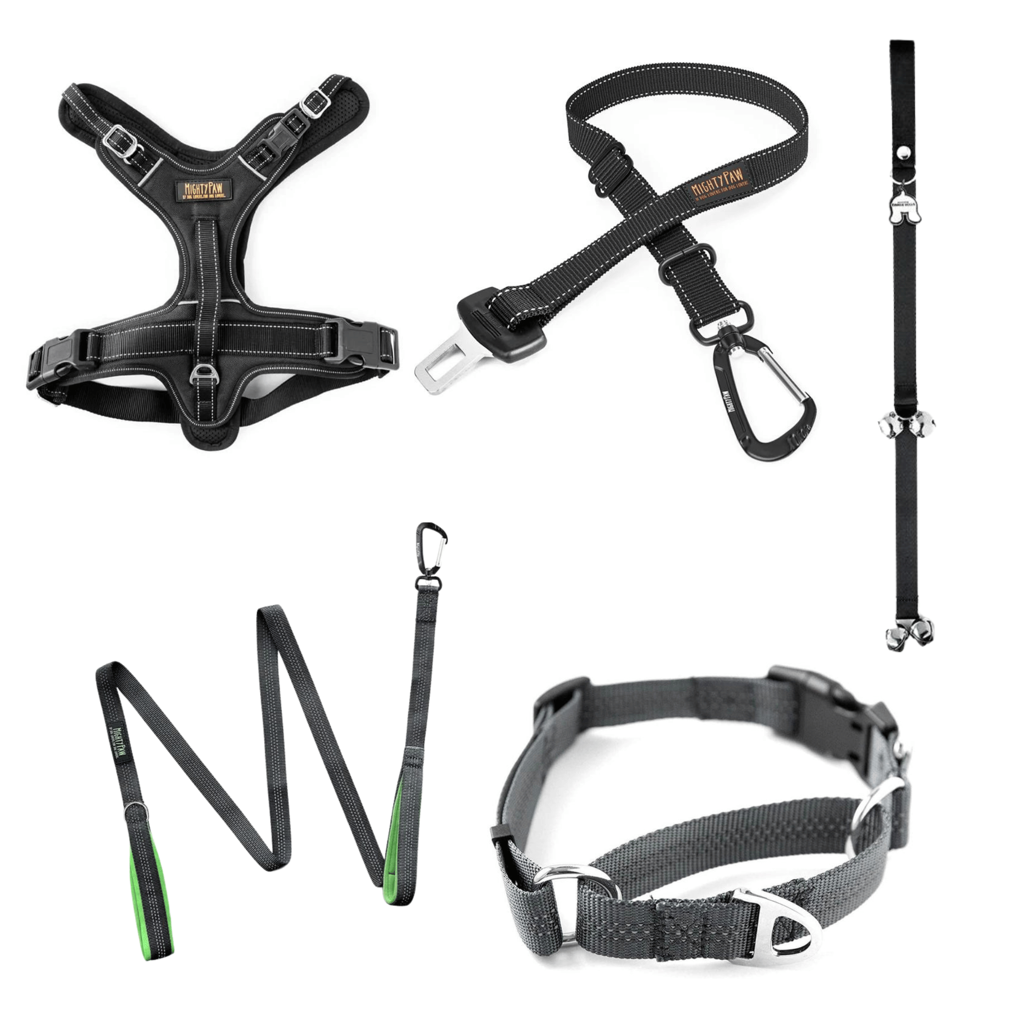 Harness and collar 2024 set